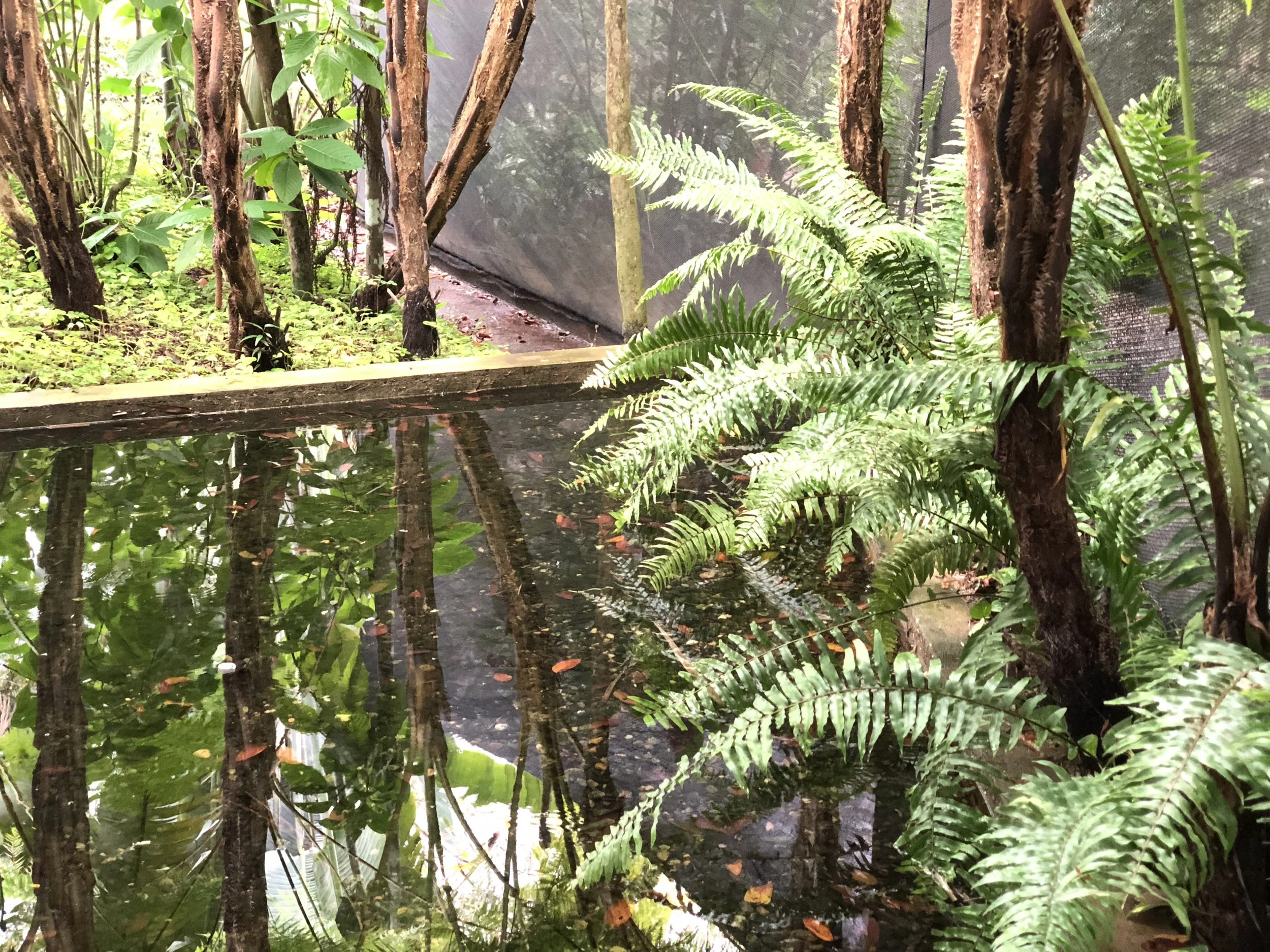 Eres de las personas que Piensan Demasiado?