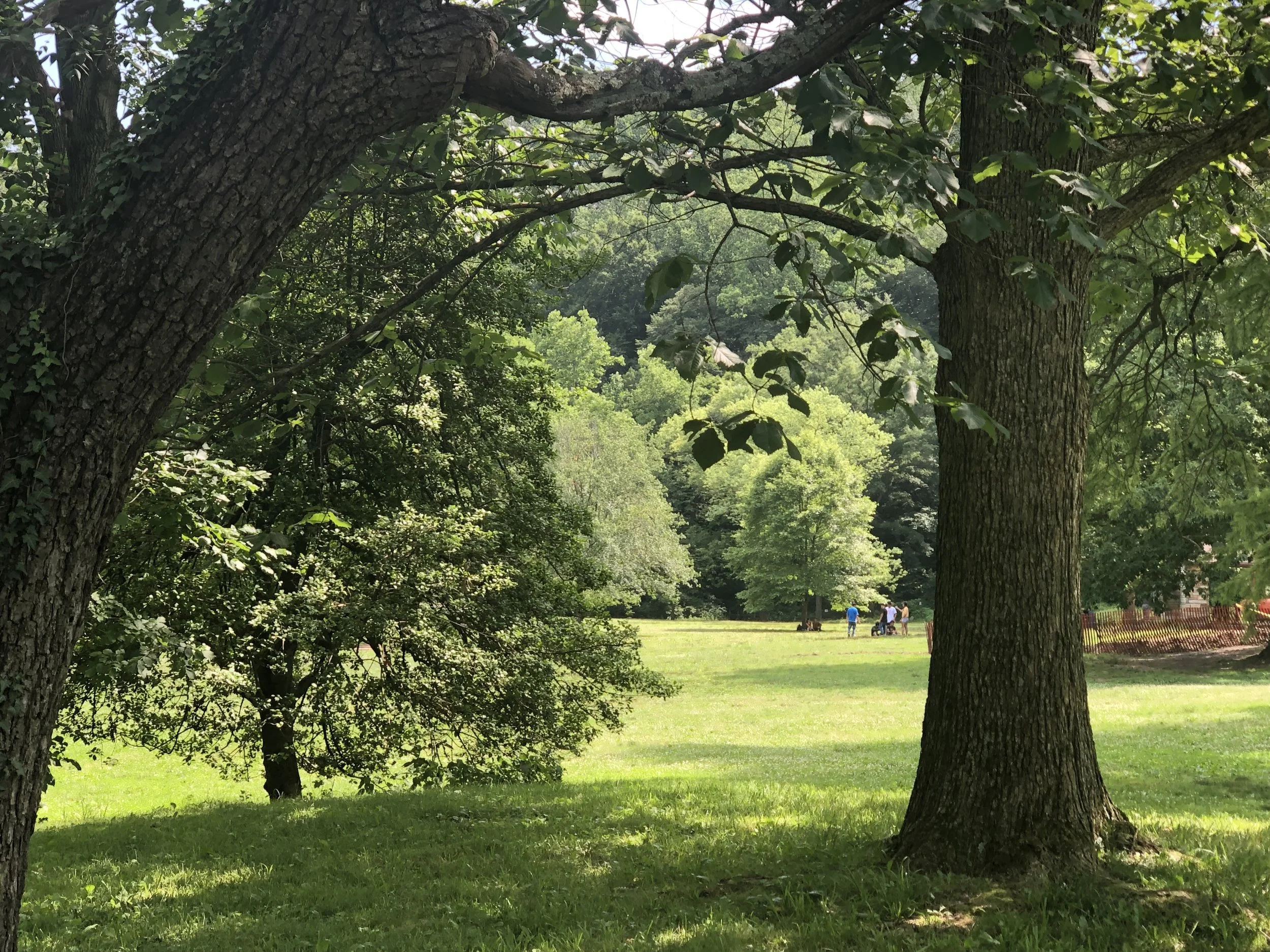 ¿Eres de las Personas que Piensan Demasiado?