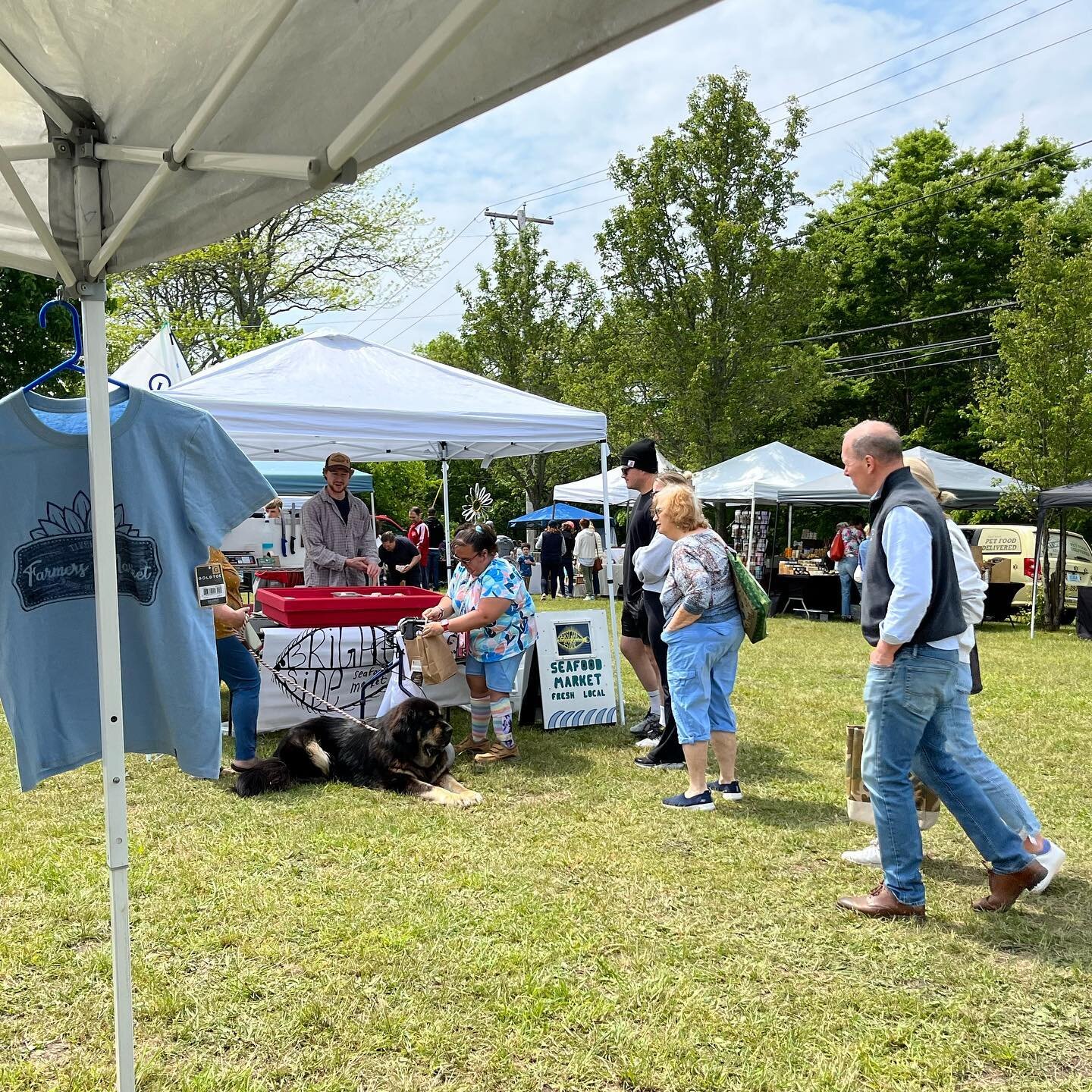 It&rsquo;s our first day outside at our NEW location. Join us! We are here from 10am-1:30 today, Sunday May 21st.

Find us at the Tiverton Town Farm Recreation Area,  3588 Main Road, RT. 77, Tiverton, RI 02878. Same 

More information at www.Tiverton