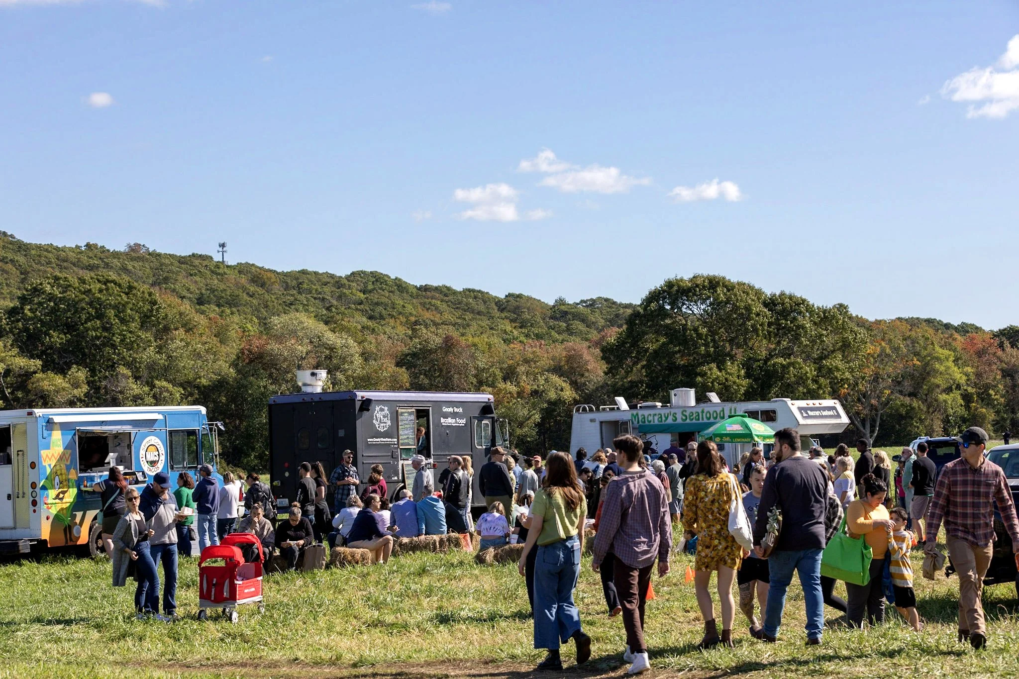 TFM - Harvest Market_9535.jpg