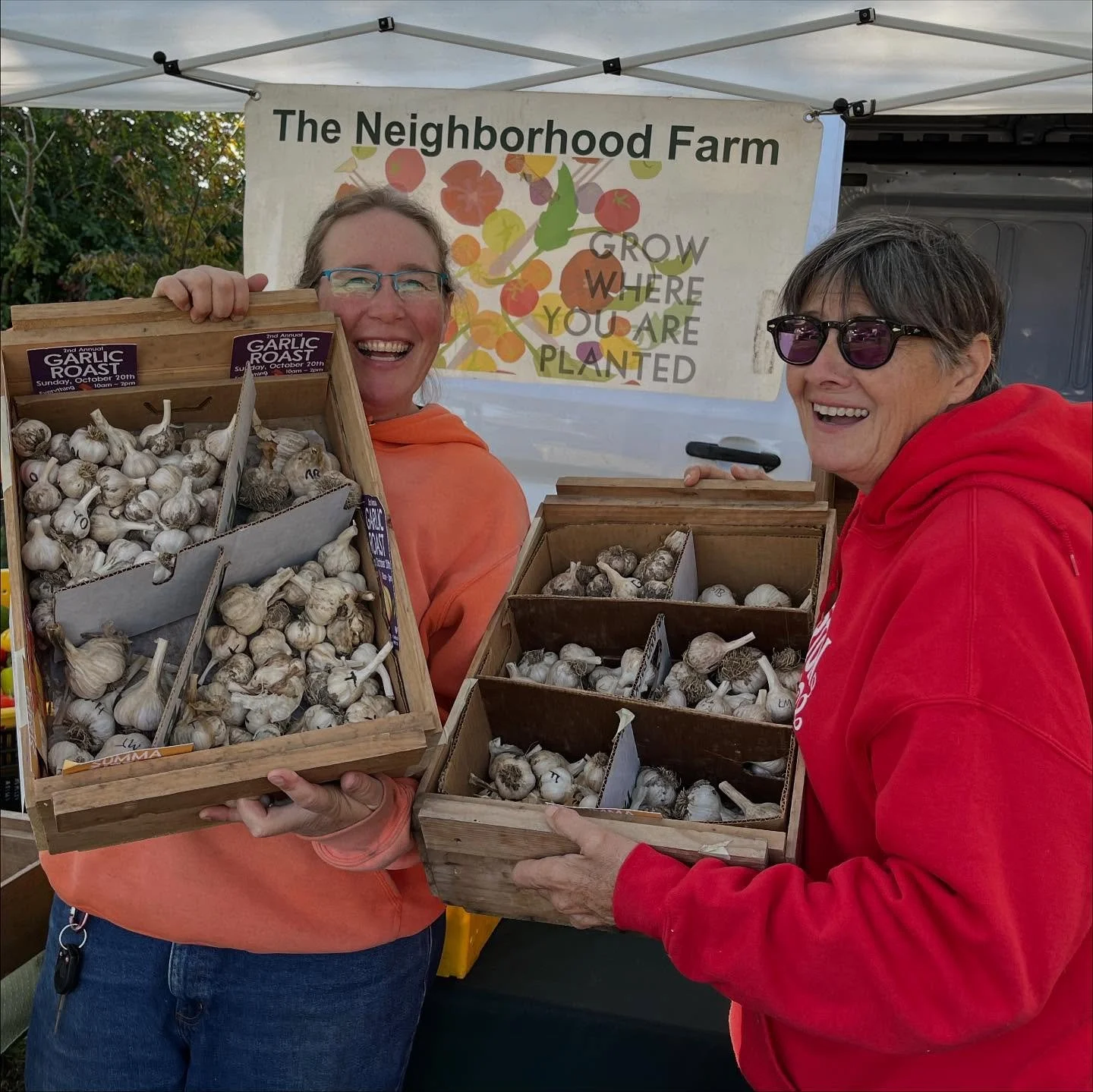 This is why we put on the Garlic Roast!! The @theneighborhoodfarm and us want to expose you and your food habits to the amazing vegetable, garlic. 
Garlic is a veggie belonging to the onion/allium family… it’s a pungent & spicy flav