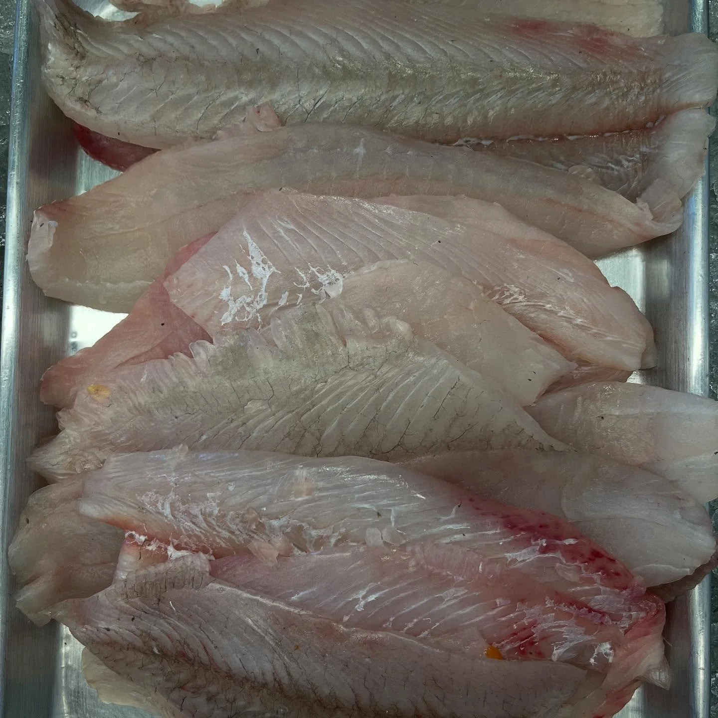 @brightside_seafood is joining us this Sunday for our Garlic Roast! Look for Bluefin, swordfish, salmon, fluke & steamers tomorrow. Extremely fresh and highly nutritious. We are stoked to have them join us.
—π§π§π§π§π§π§—
3rd Annual