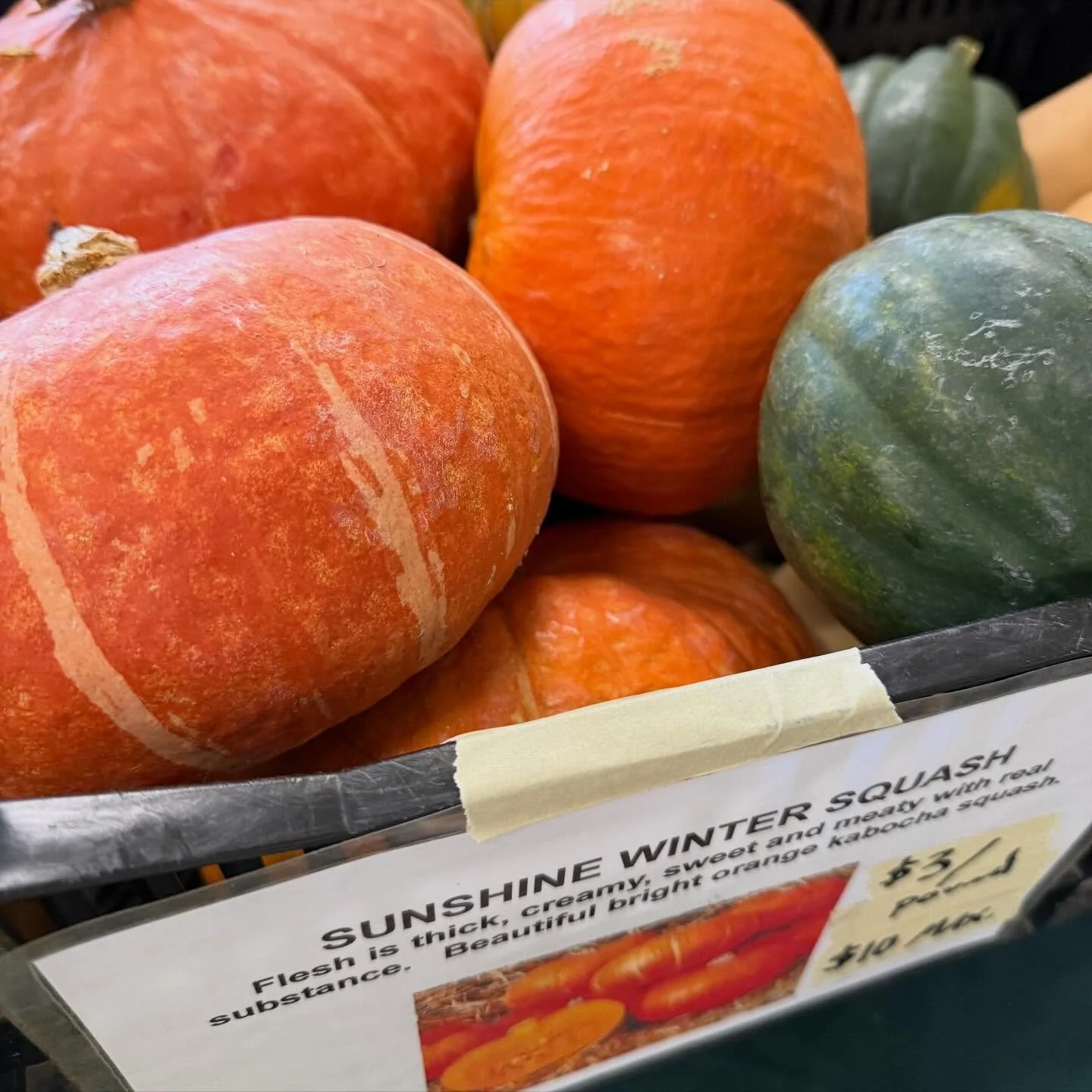 @theneighborhoodfarm is loaded up with amazing and fresh produce, fruits, veggies, herbs and more!! 
—π₯π₯¬π₯¦π₯π₯π§π§
π«—
β° Sunday from 10am - 1:30pm
πTiverton Middle School
10 Quintal Drive, Tiverton, RI 02878. 
π Free and open to the