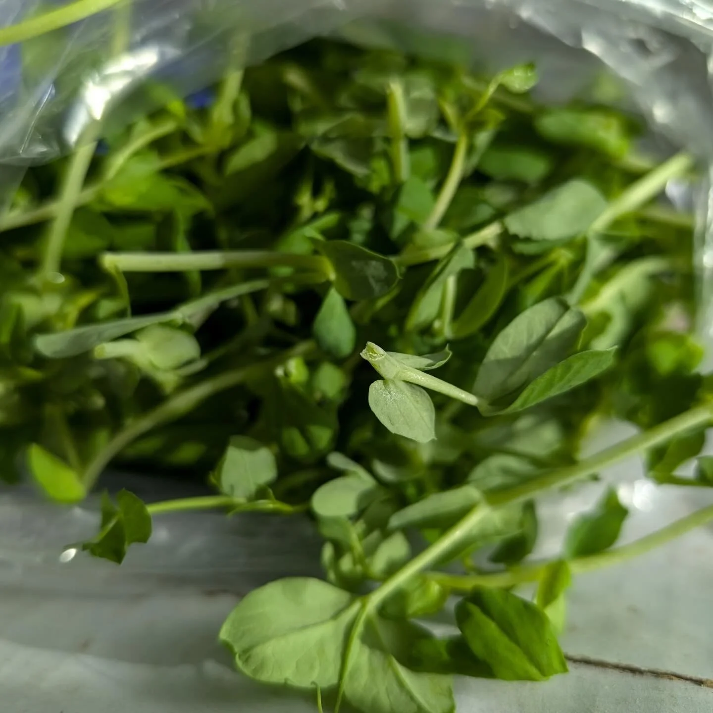 @theneighborhoodfarm is back in action this week with crates and crates of fresh pea shoots, veggies &amp; apples. 

With a winter chill in the air, it is the perfect time for body (and soul) warming soups and stews. TNF has got all the ingredients t