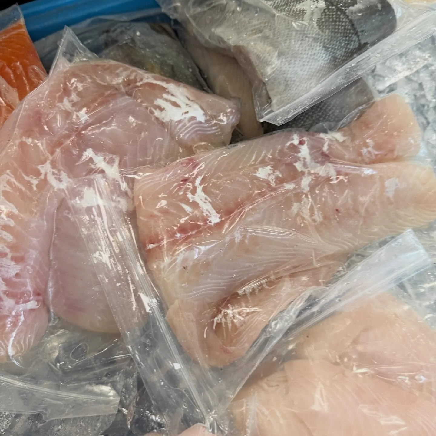 We are OPEN!!! Come on over and load up for the week. A little bit of everything today.

&mdash;🩷❤️🧡💛💚🩵💙💜&mdash;
⏰ Sunday from 10am - 1:30pm
📍Tiverton Middle School
10 Quintal Drive, Tiverton, RI 02878. 

🚗 Free and open to the public. Plent