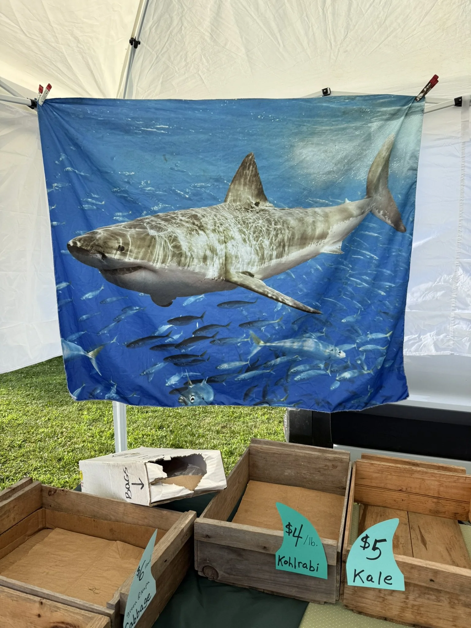 IMG_5849 - Copy.JPEG