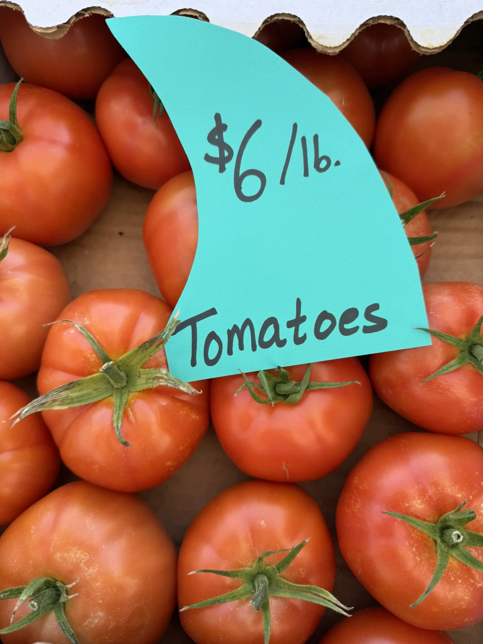 IMG_5855 - Copy.JPEG