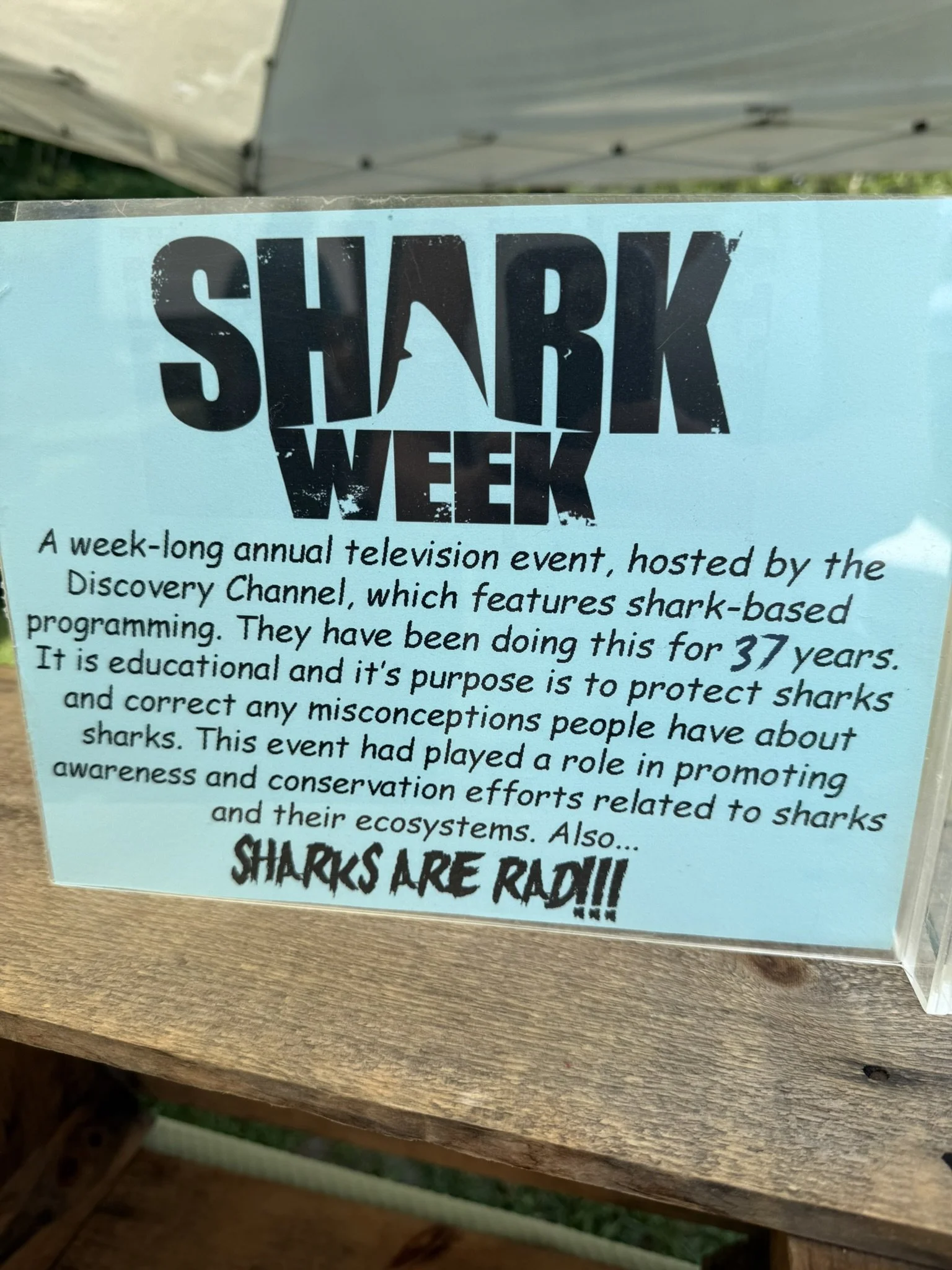 IMG_5857 - Copy.JPEG