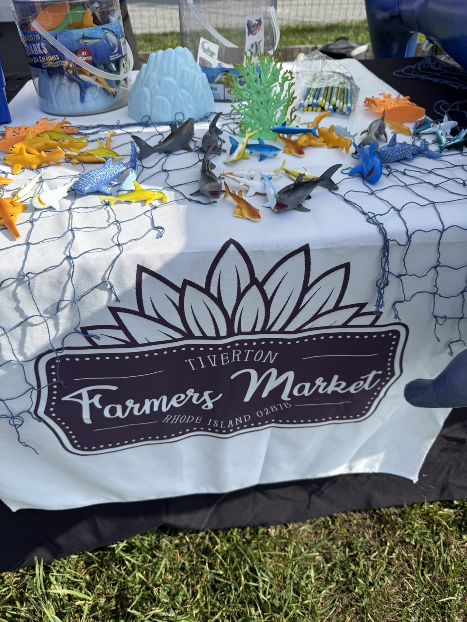 IMG_5863 - Copy.JPEG