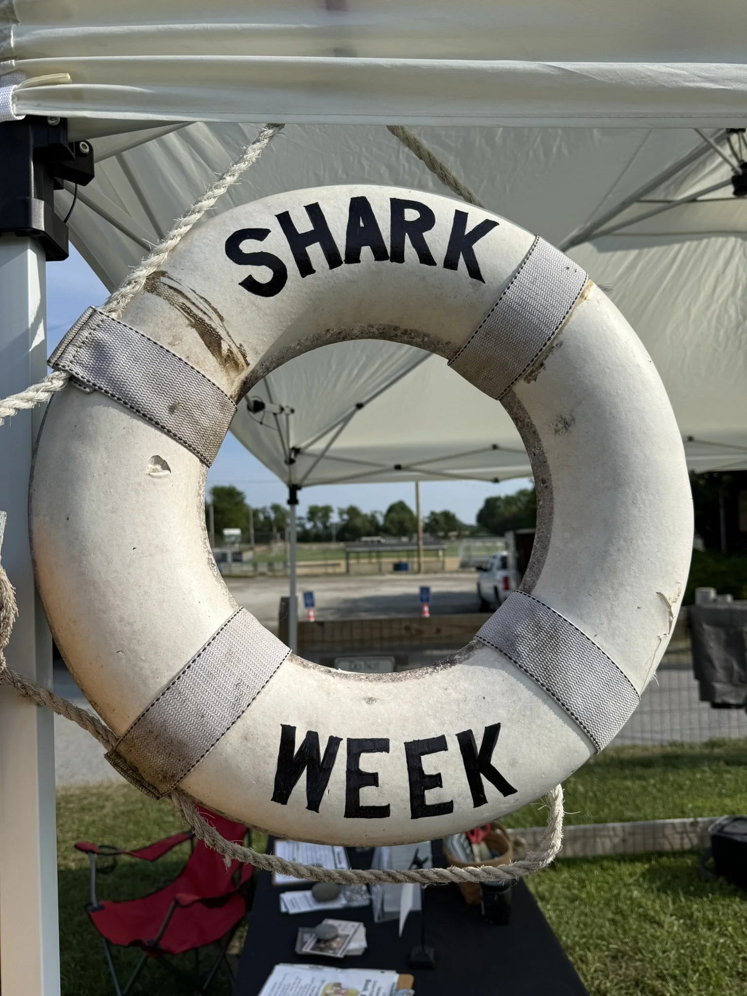 IMG_5865 - Copy.JPEG