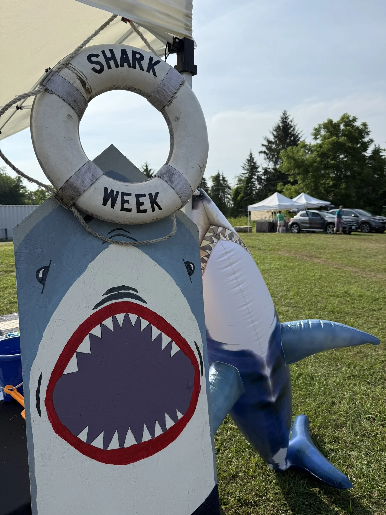 IMG_5868 - Copy.JPEG