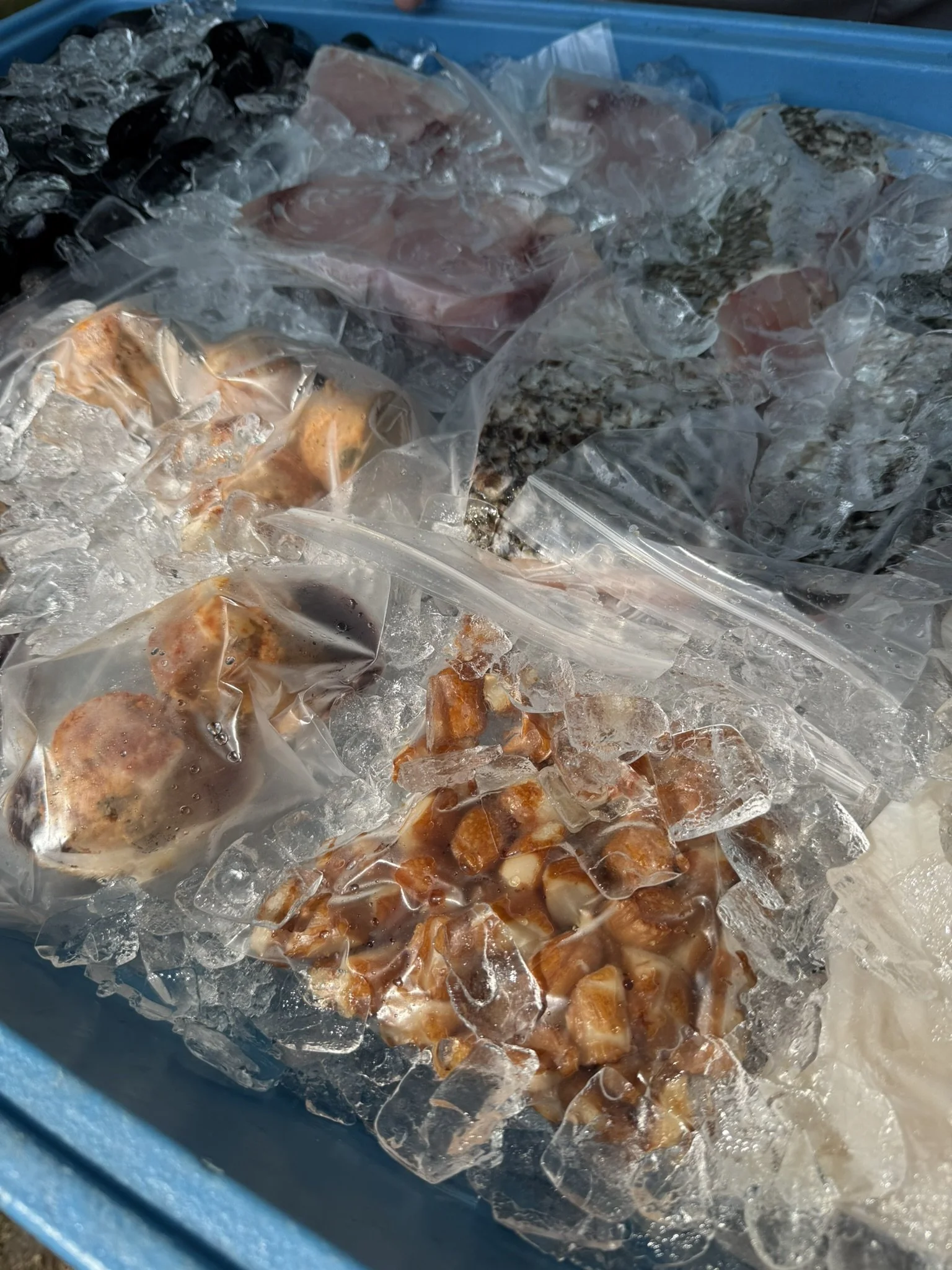 IMG_5949 - Copy.JPEG