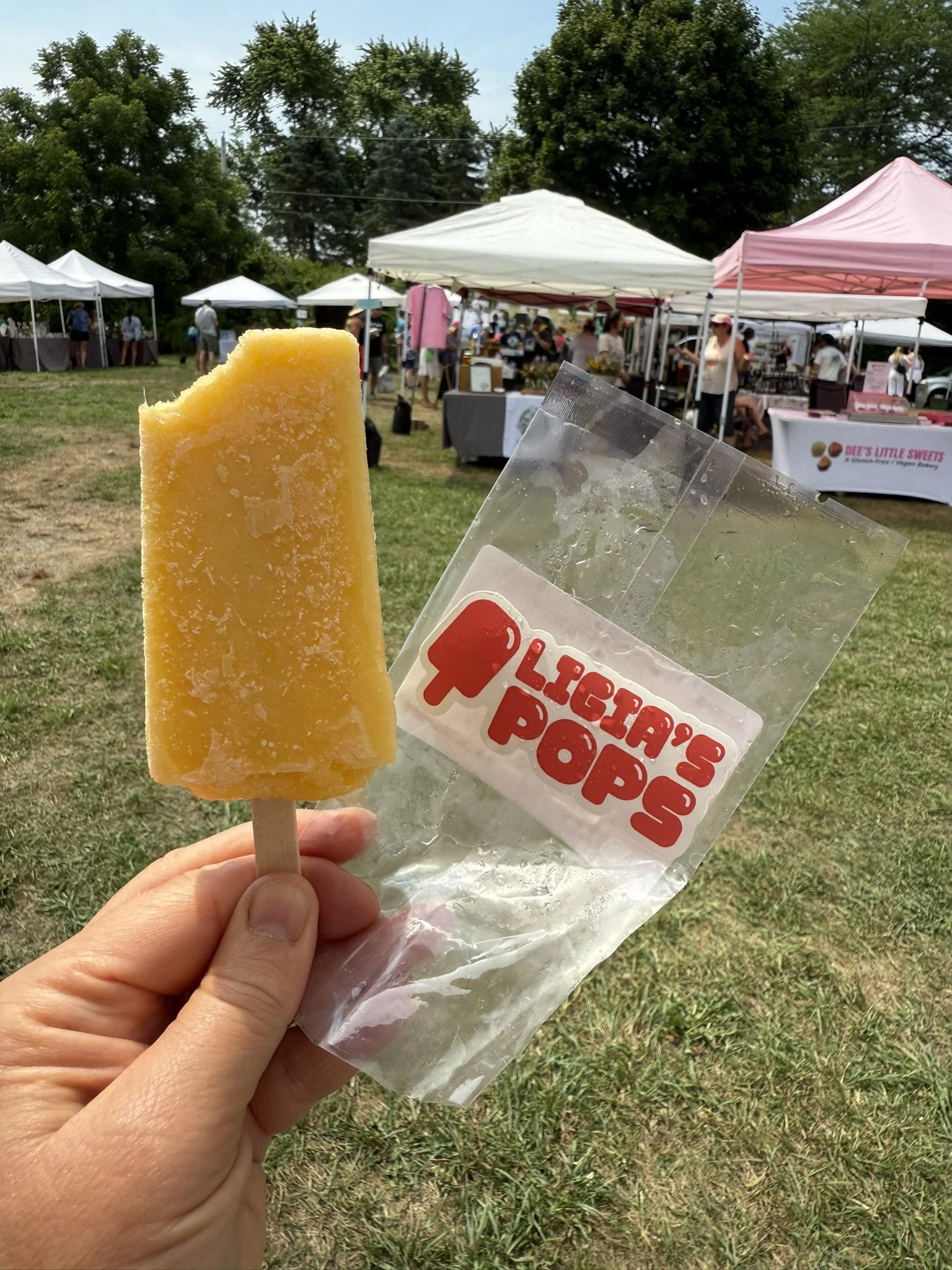 IMG_5968 - Copy.JPEG