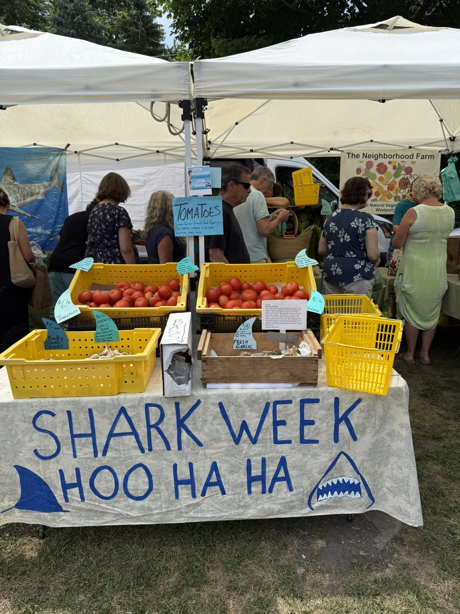 IMG_5997 - Copy.JPEG