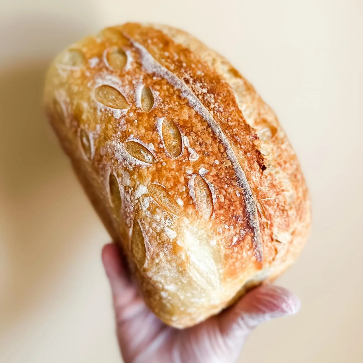 Your Sunday Brunch just got a major upgrade!
Join @motherhenbakery this Sunday at the Easter Specialty Farmers Market. 

They have been busy in the kitchen prepping the seasonal favorite: Fresh Blueberry Lemon Sourdough. It&rsquo;s the perfect additi