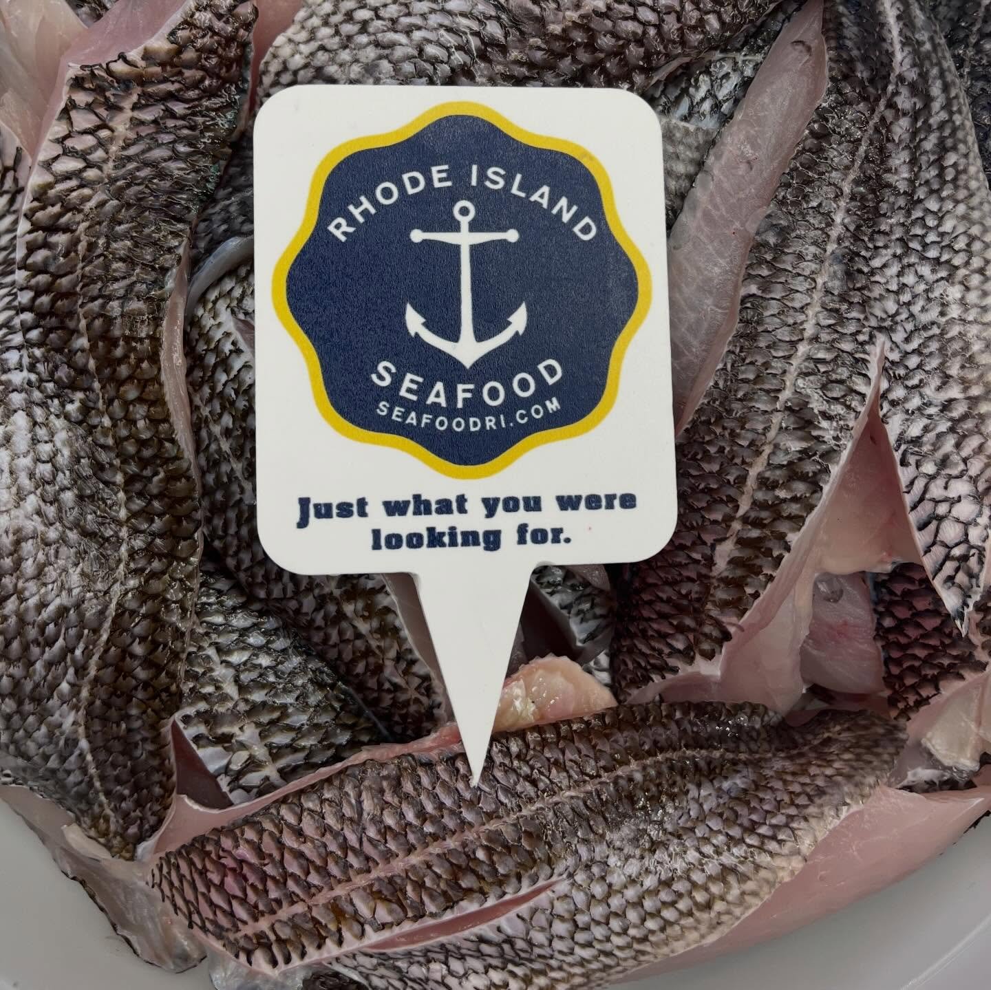 Superstar Sunday &hellip;.Mike from @brightside_seafood will personally be coming to the market tomorrow with lots of fresh fish. Come on by, stock up for the week with THE best seafood. 🍣 🐟🦐

Brightside Seafood Market is a specialty fish market i