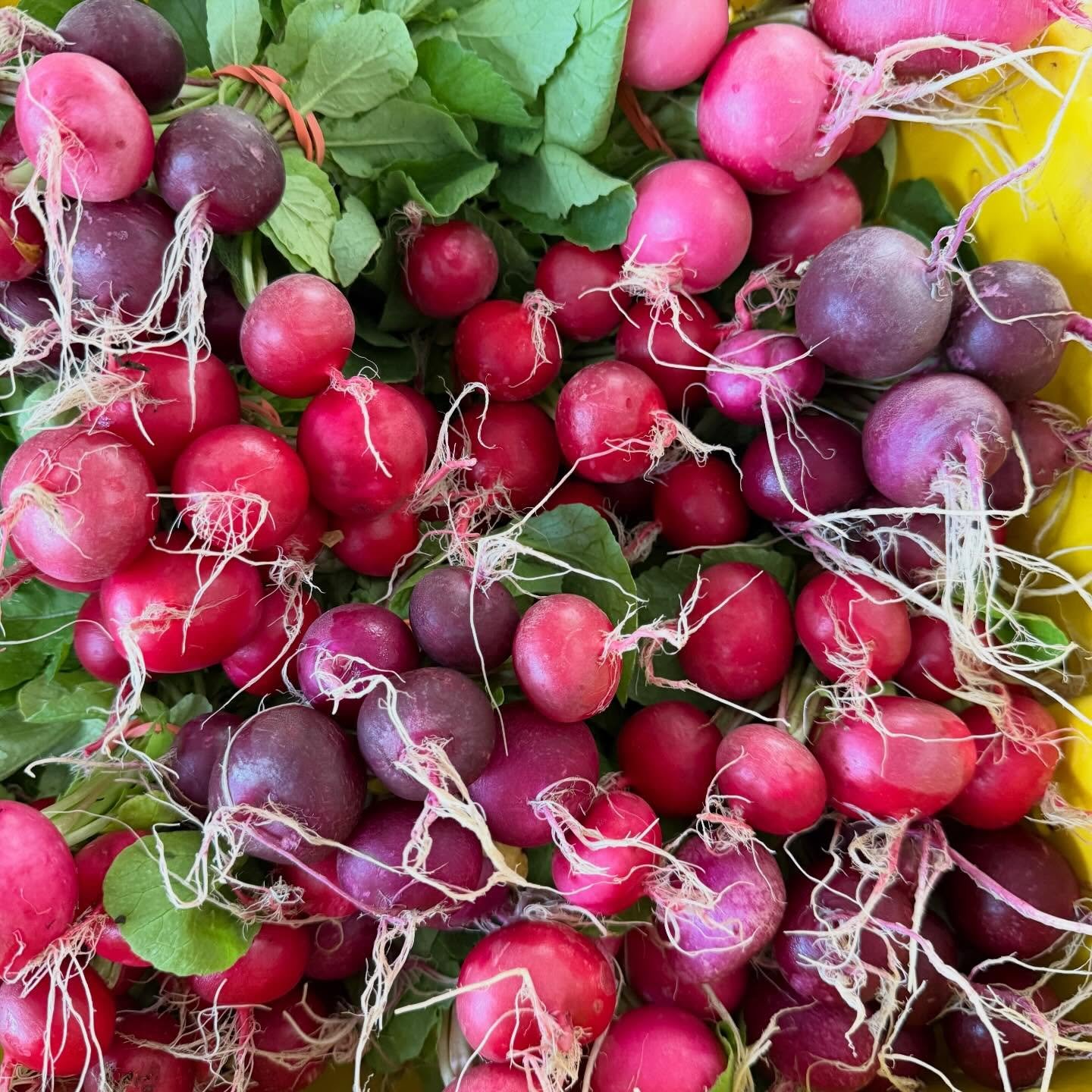 Last call for potatoes. Grab those pintos today and savor those delicious cuties. Plenty of greens, carrots, cabbage and herbs. Check out the specials going from @theneighborhoodfarm today.

 &mdash;🦕🦖🦕🦖🦕🦖&mdash;
⏰ Sunday from 10am - 1:30pm
📍T