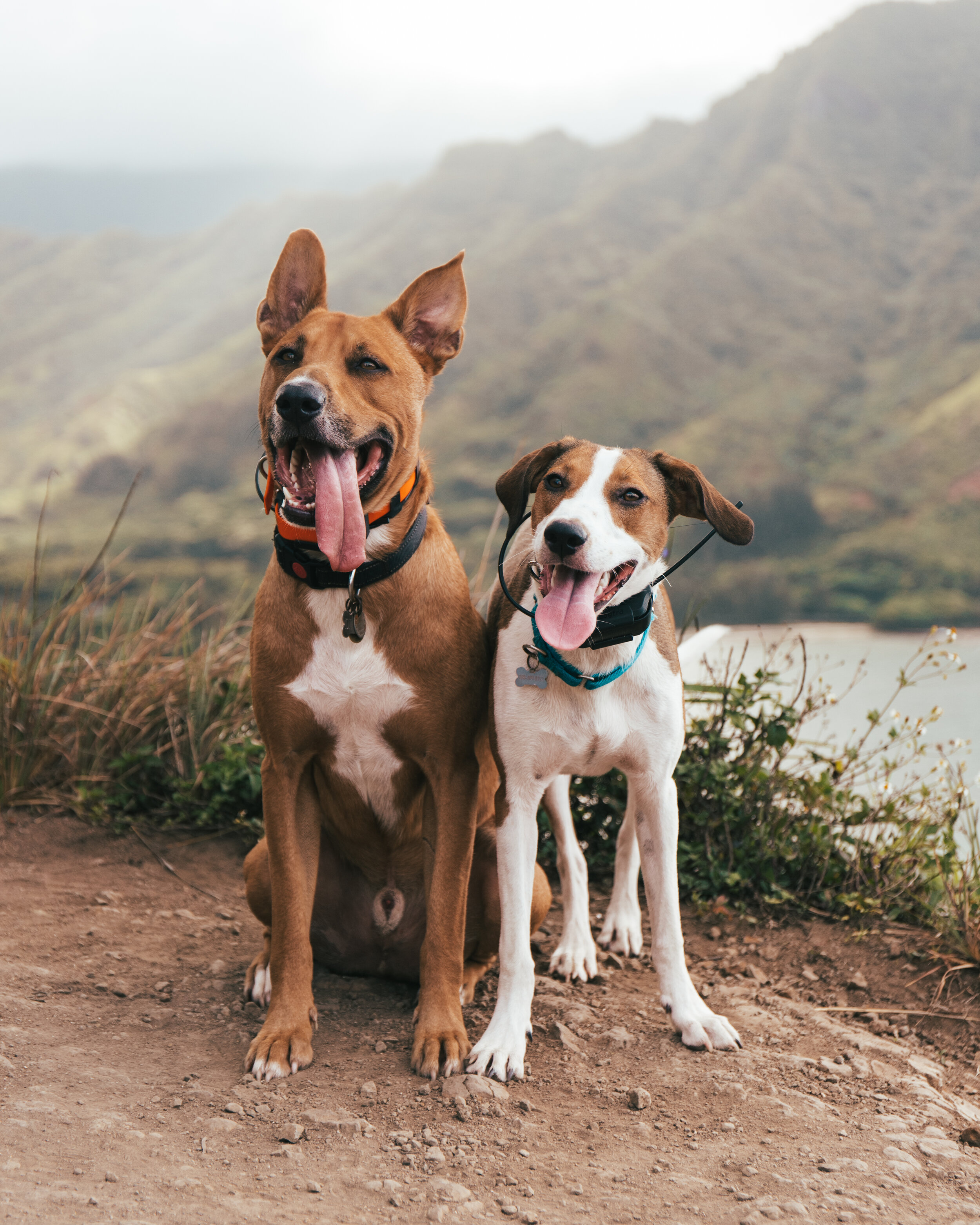 Our Story — Expedition Evans