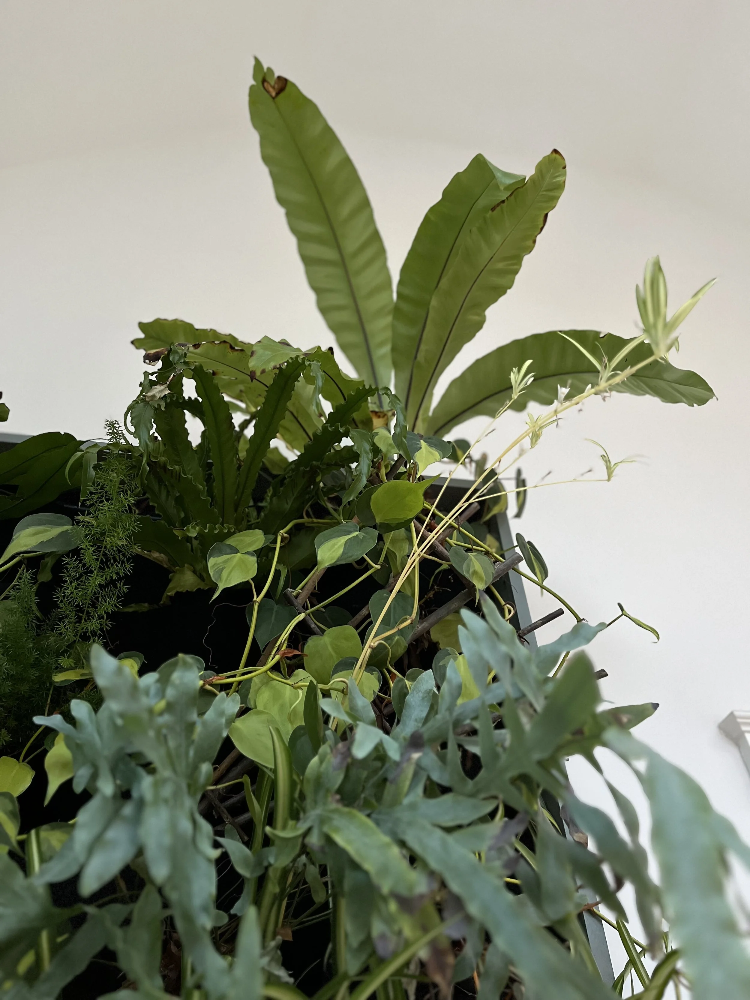 IMG_3922.jpeg