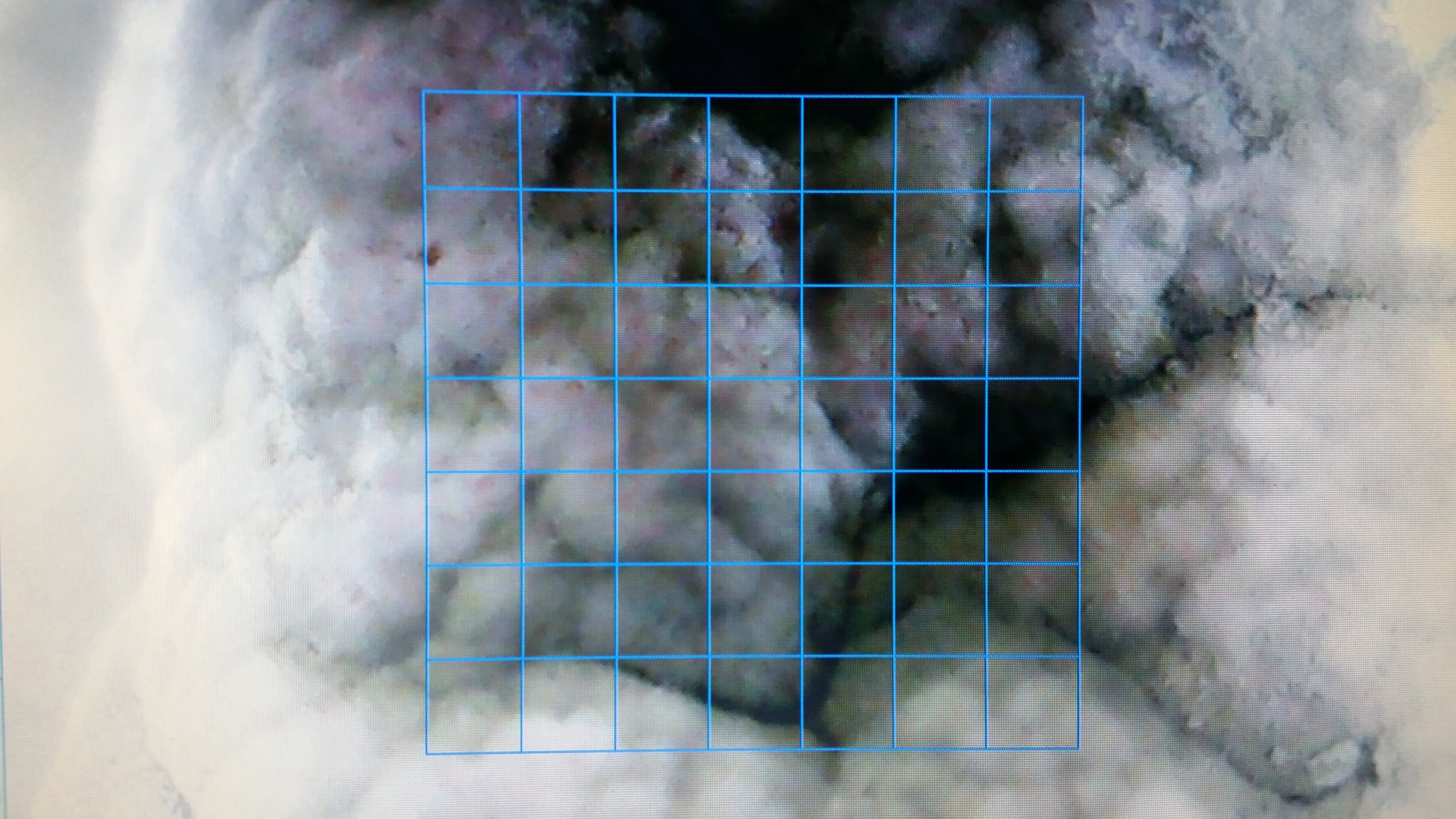 Evolution of a departure_01.jpg