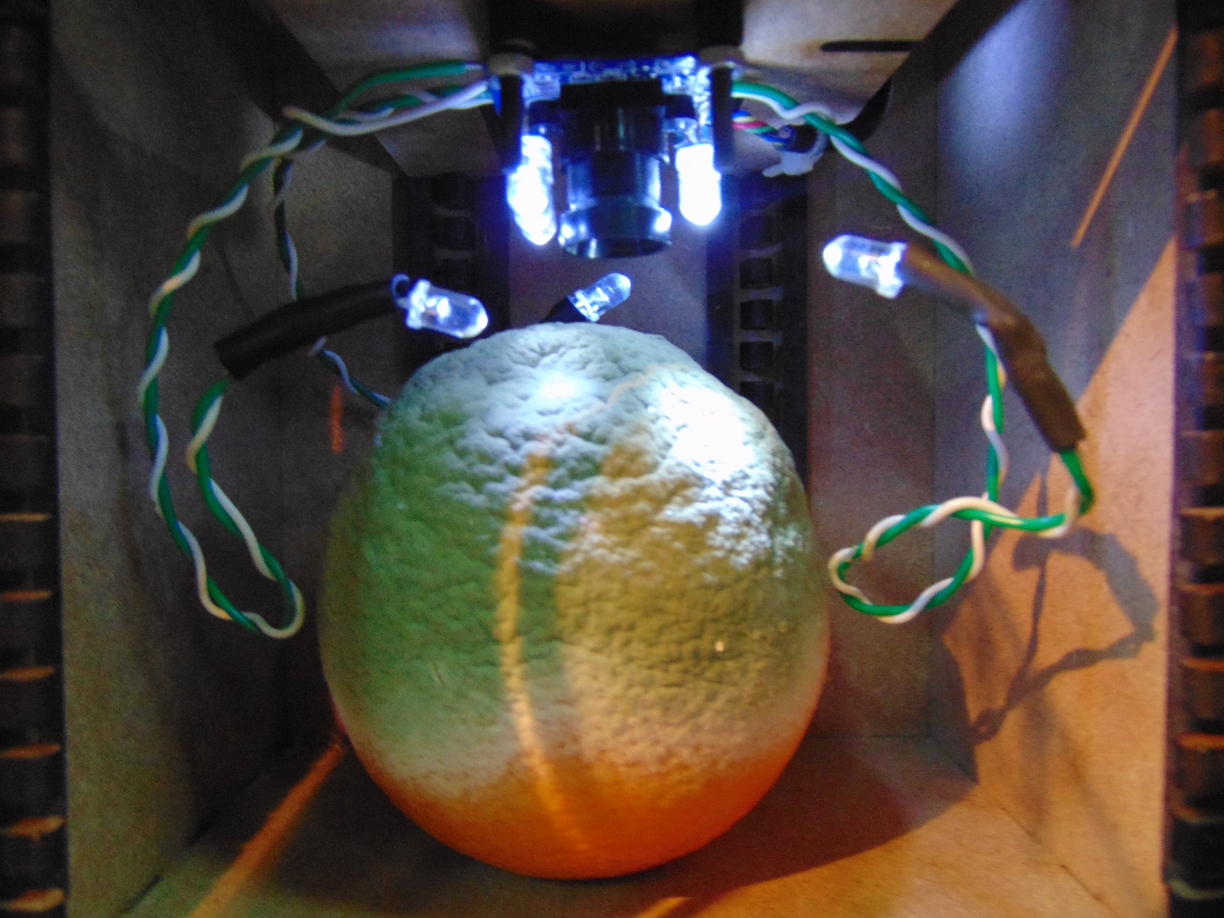 Evolution of a departure_02.JPG