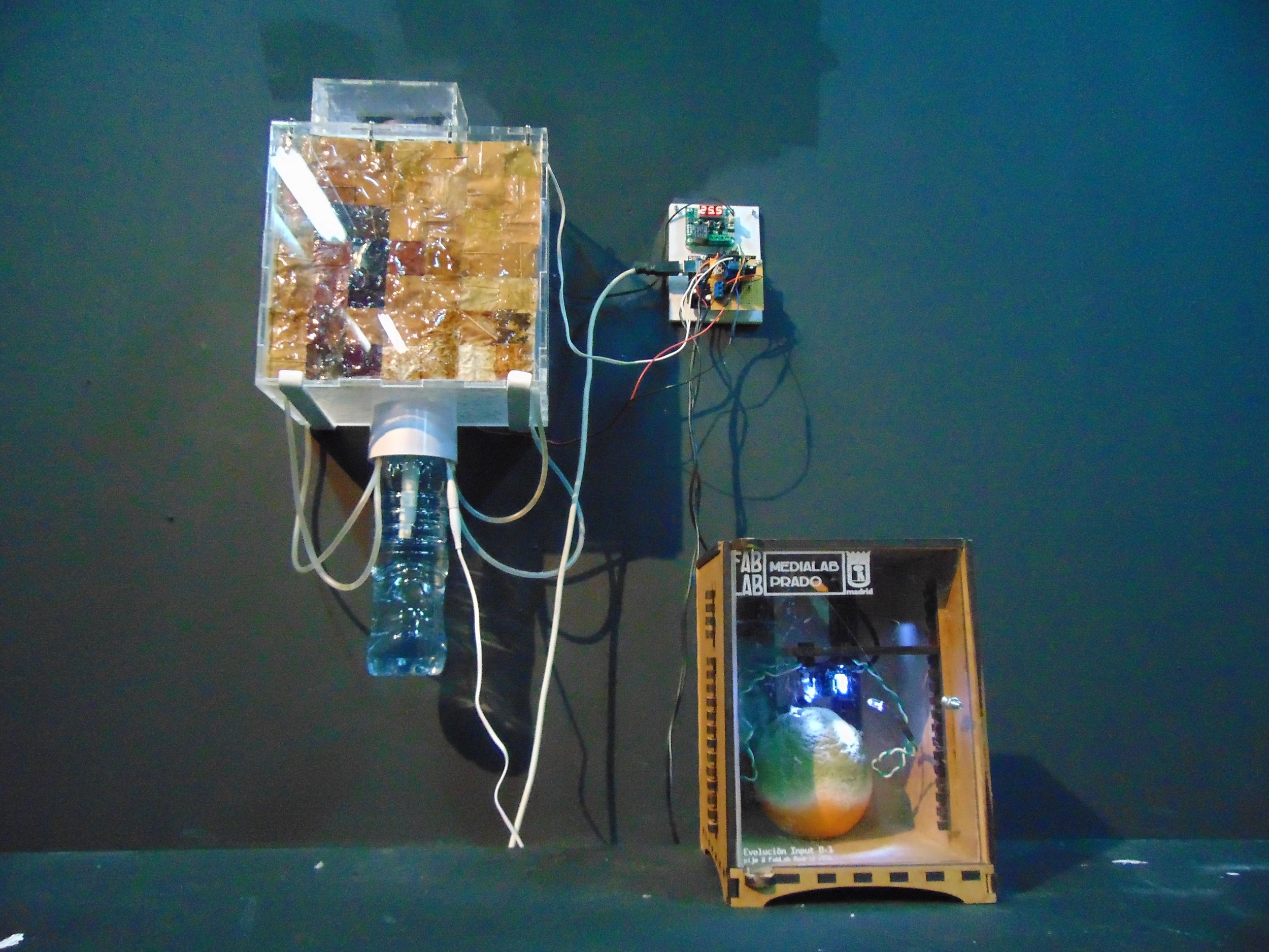 Evolution of a departure_03.JPG