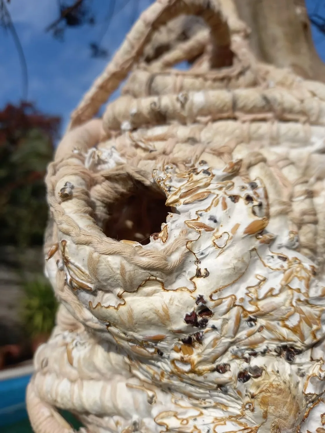 Collaborating with Life: Ana Laura Cantera on Rethinking Materials Through Living Systems