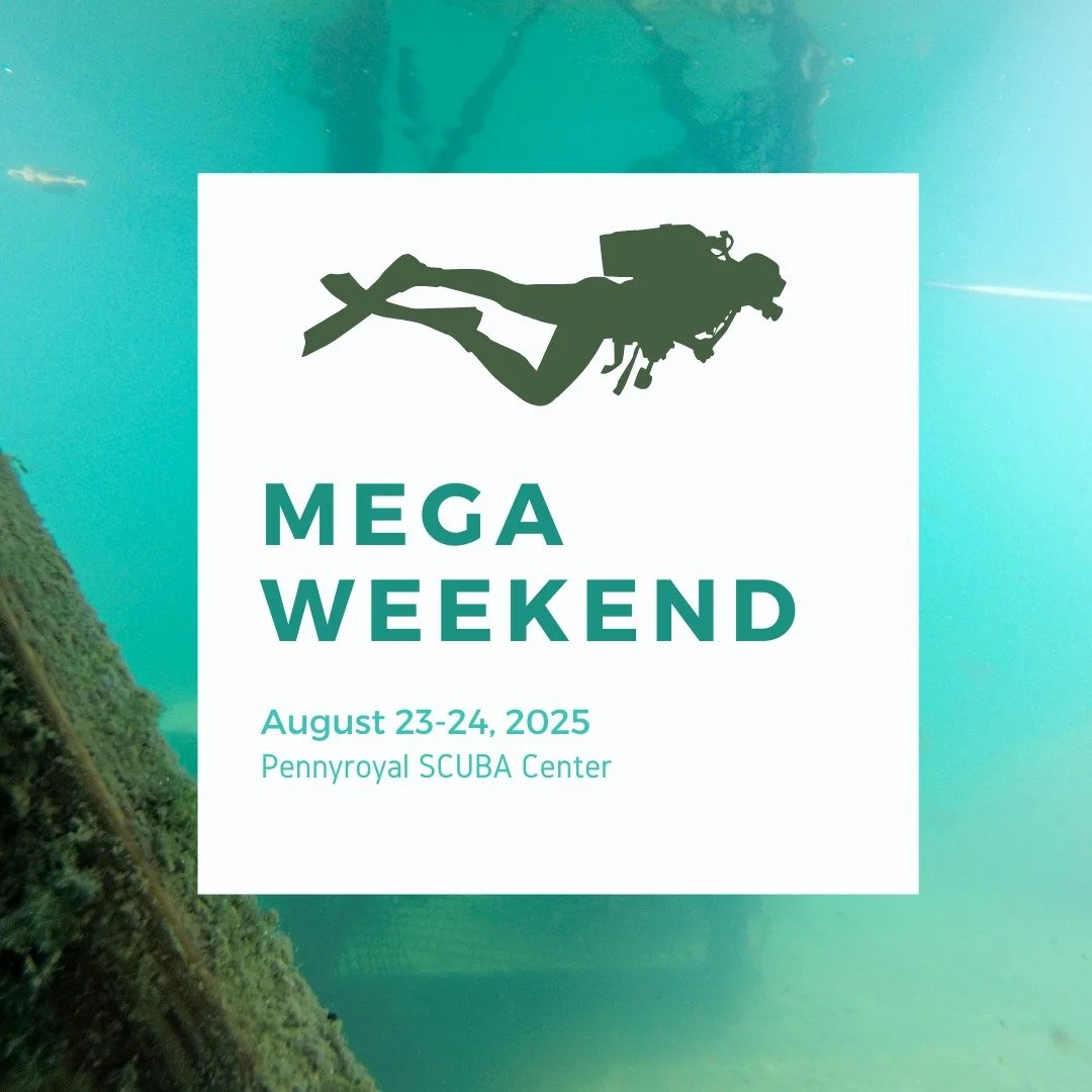 We are coming up on the BIGGEST event of the year...Mega Weekend! This dive season is flying by and we can't thank you enough for such an amazing season! To make things run as smooth as possible we have linked 2 things below:
1. Please fill out this 