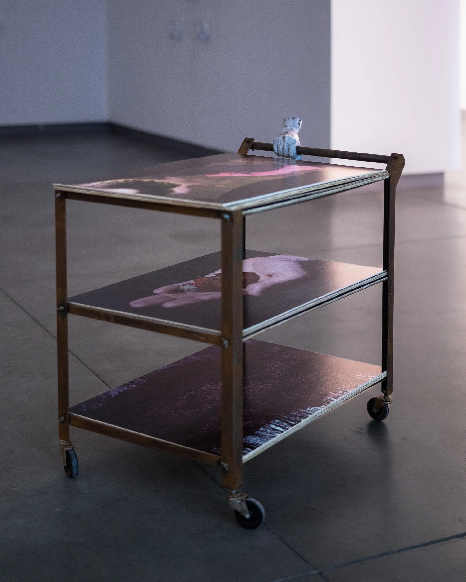 Wheeled Cart | steel, concrete, beeswax, inkjet film prints mounted on plywood.  Photographed by Joel Tsui