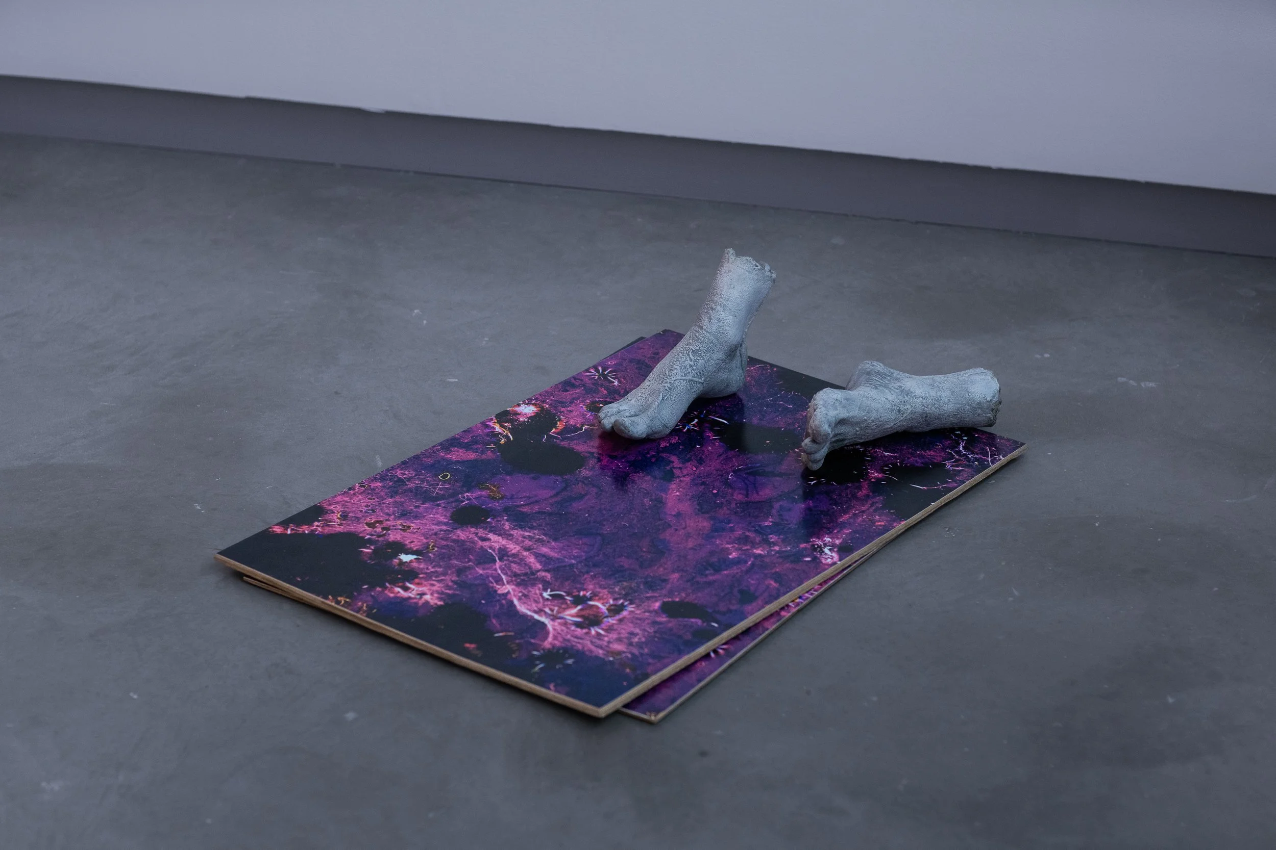 Ground over Floor | concrete, wax, expired analog film prints mounted on plywood.  Photographed by Joel Tsui