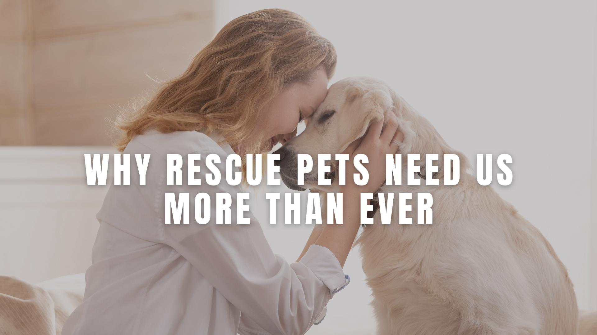 Pet Adoptions Are Down Nationwide — Why Rescue Pets Need Us More Than Ever
