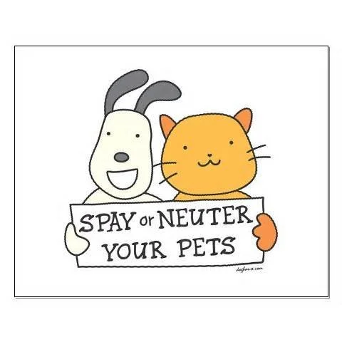 Spay/Neuter Clinic 
