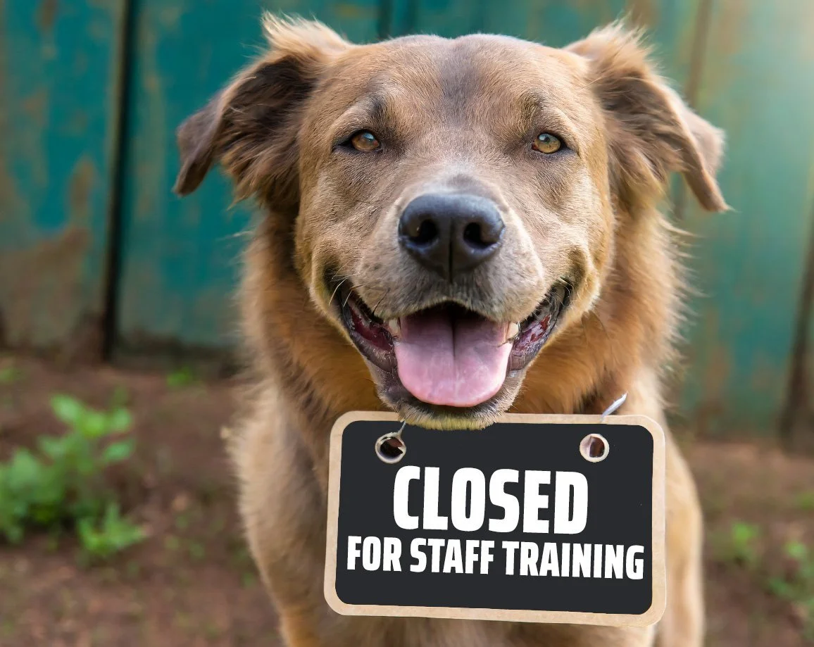 CLOSED FOR STAFF TRAINING