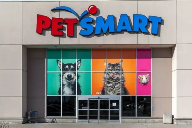 Petsmart Cat Adoption Day