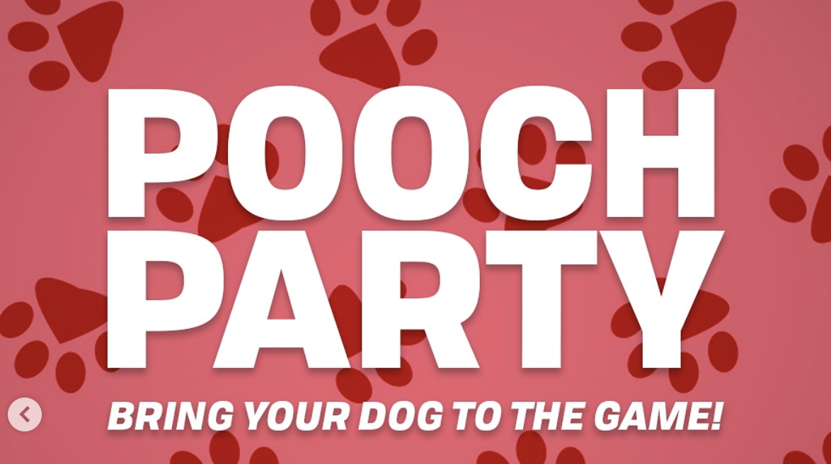 “Pooch Party” with the Charlotte Checkers