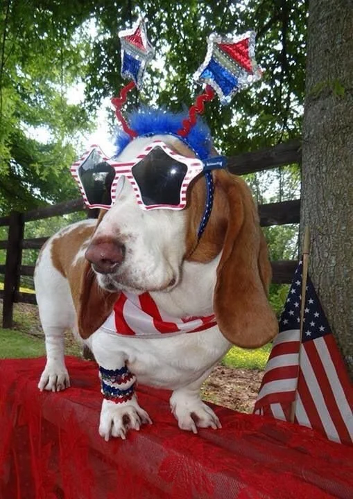 CLOSED-4th of July 250