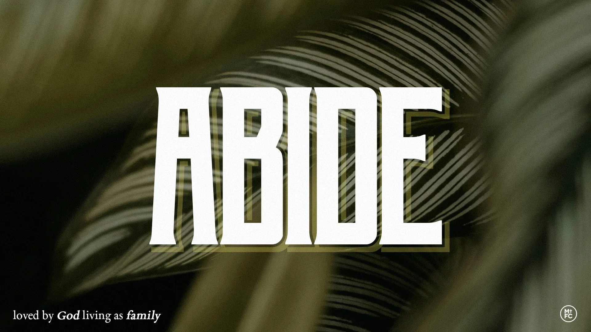 Abide - Week 2