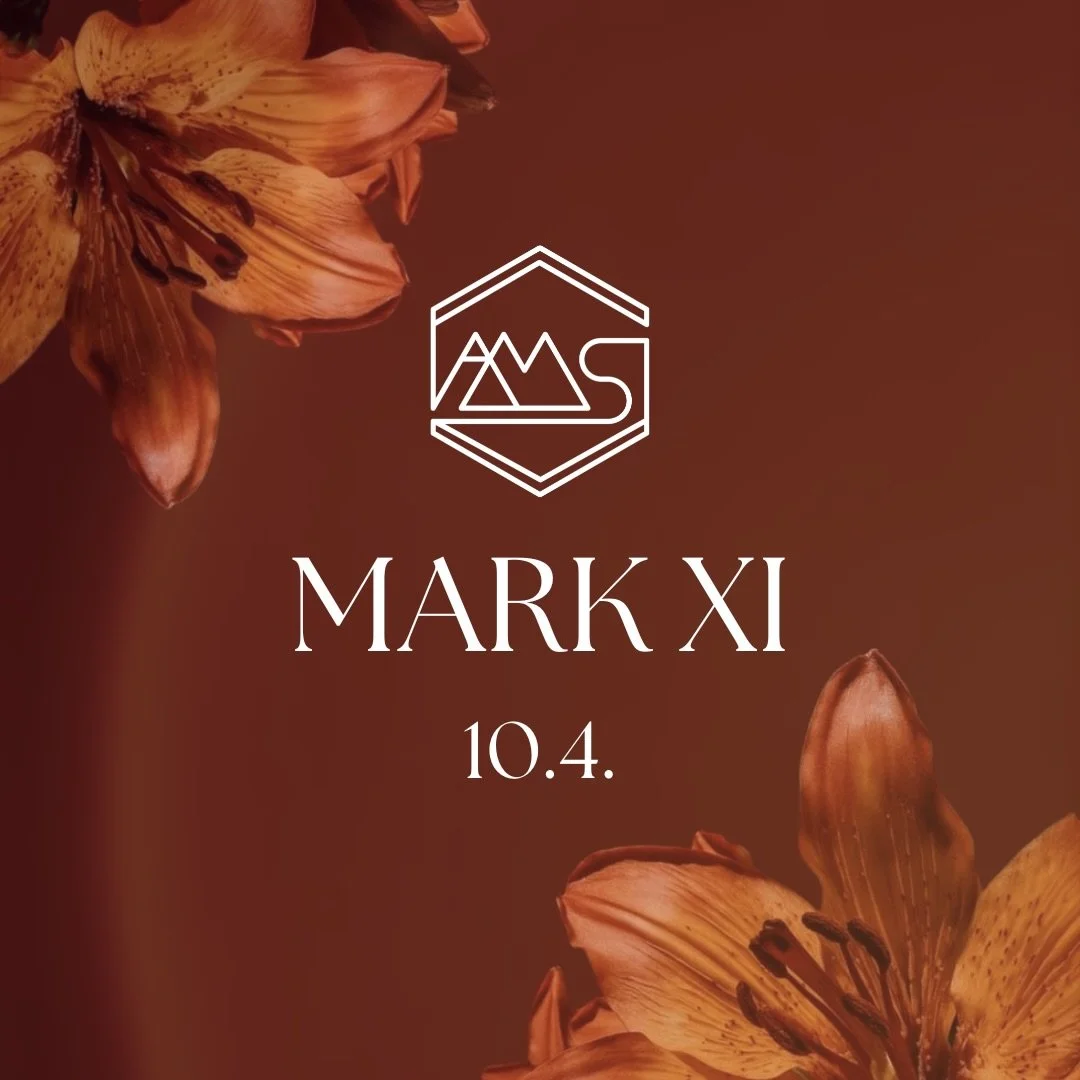 Mark XI 10.4.2026
