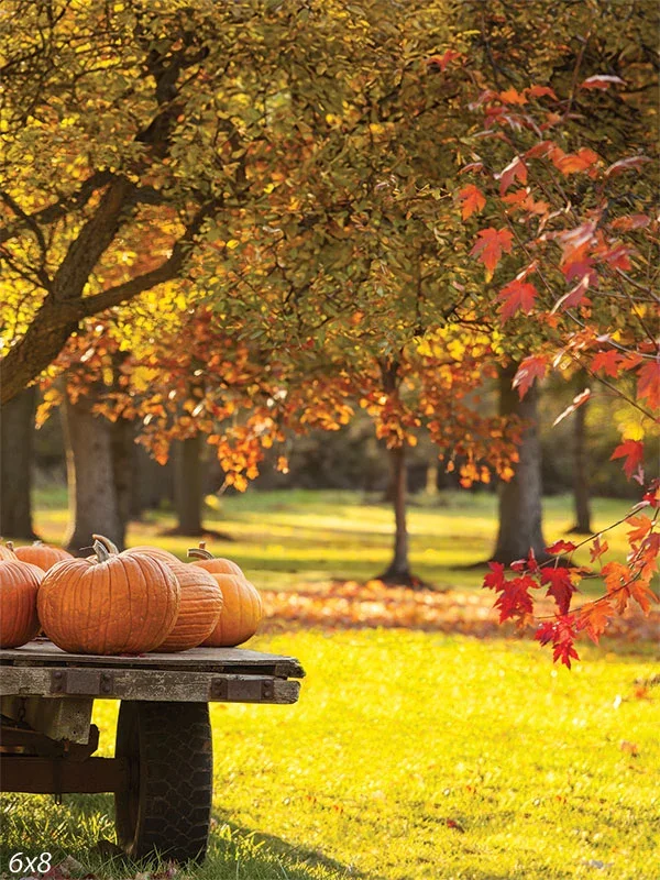September Wellness Retreat