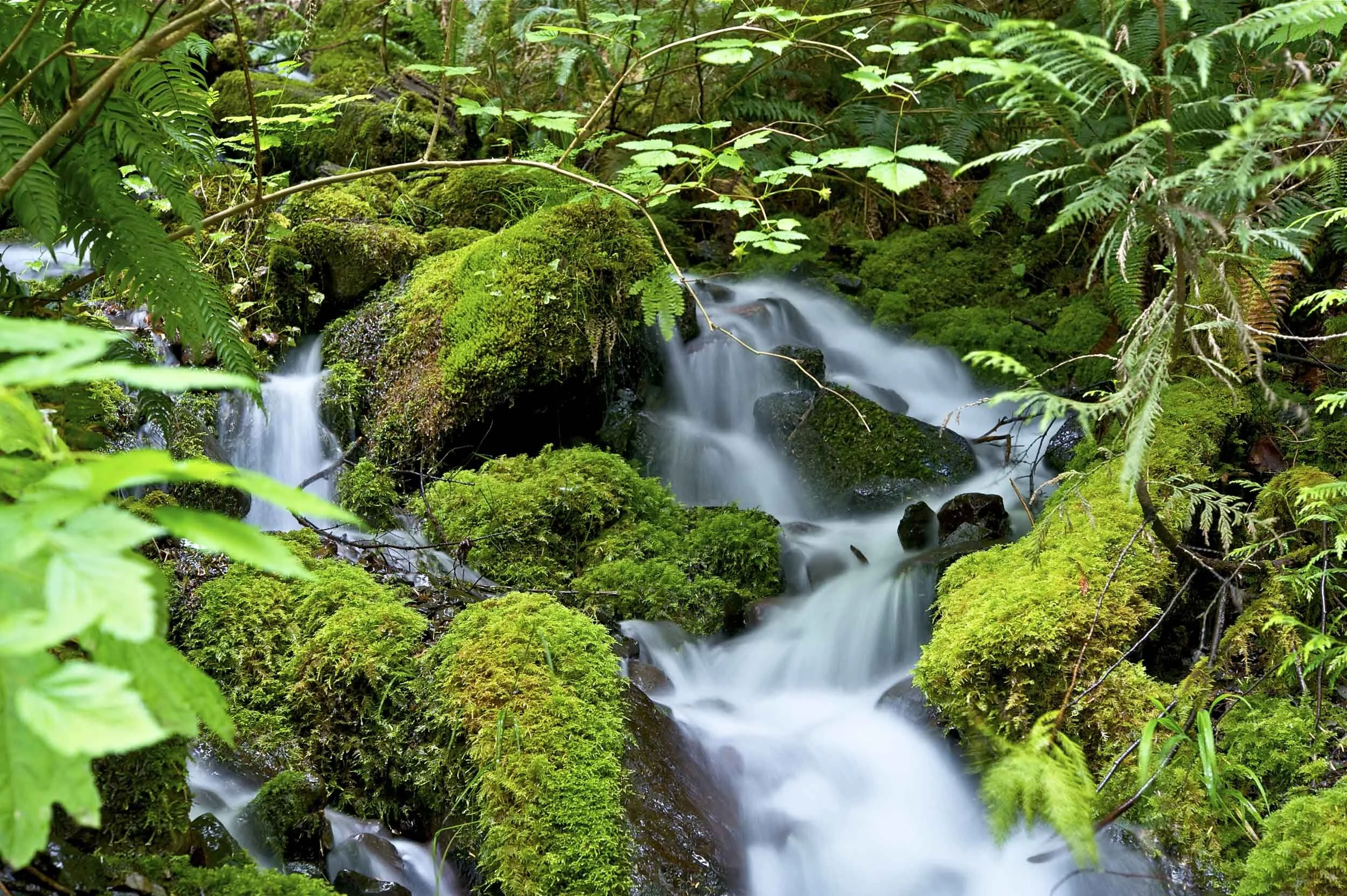 Cascade-low.jpg