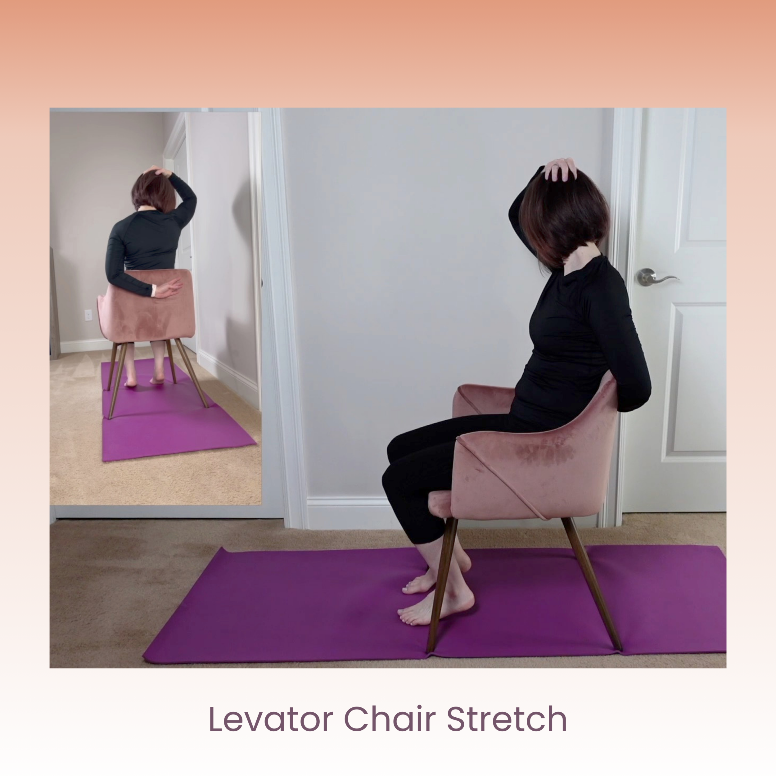 Levator Chair.png