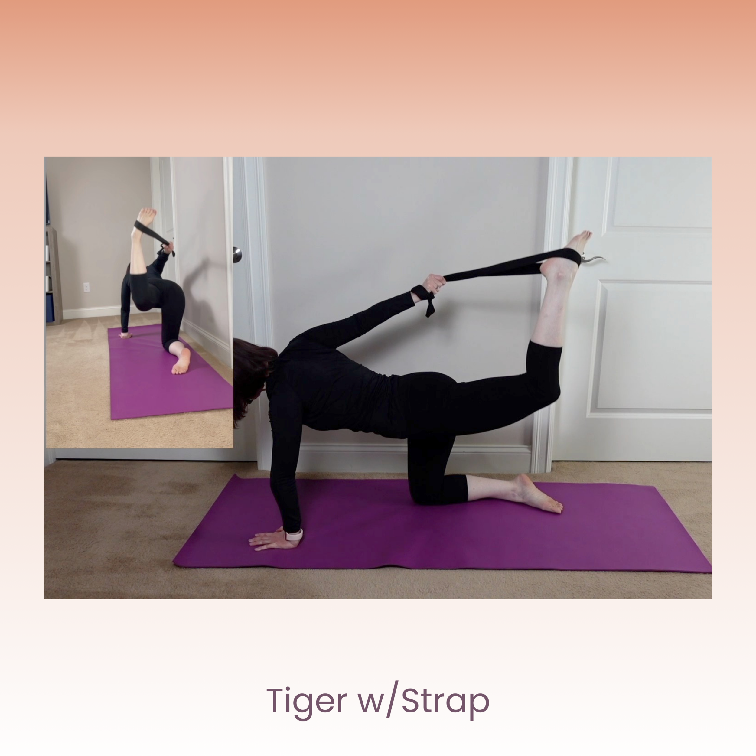 Tiger with Strap.png