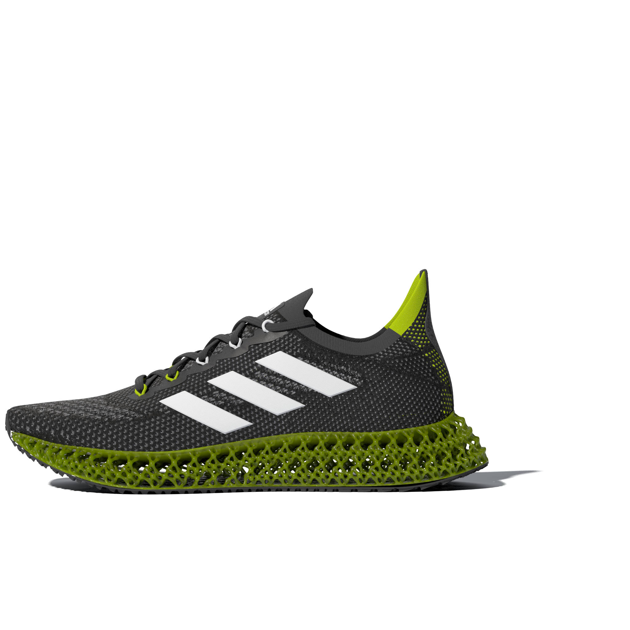 4DFWD_02_0000.png