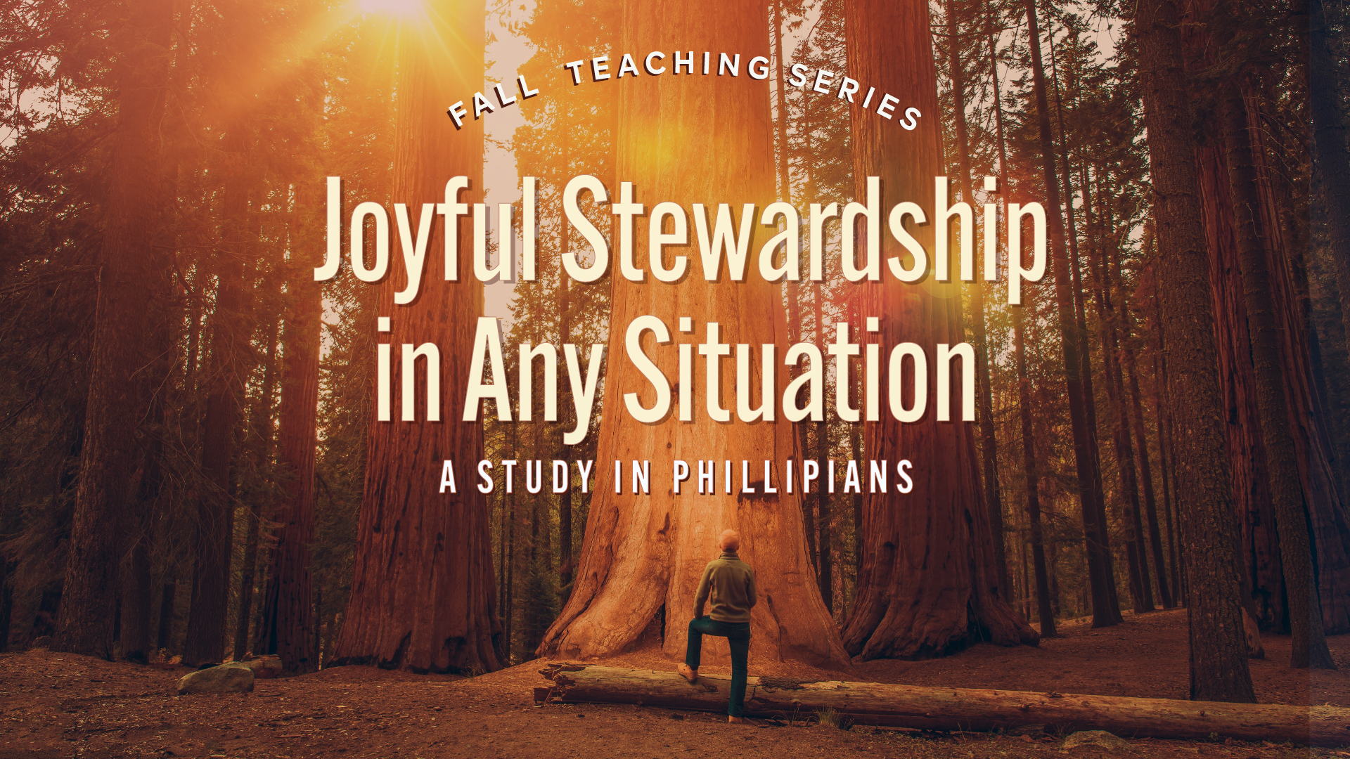 Joyful-Stewardship-w-tagline.png