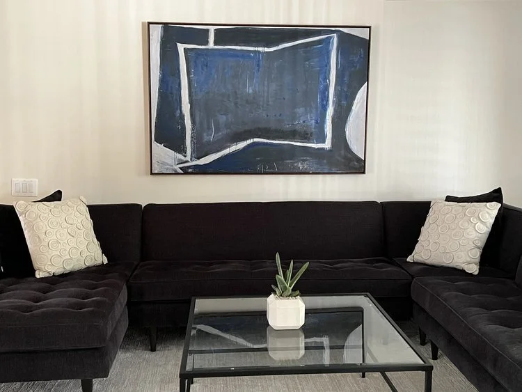hawarthia+indoor+plant-1.jpg