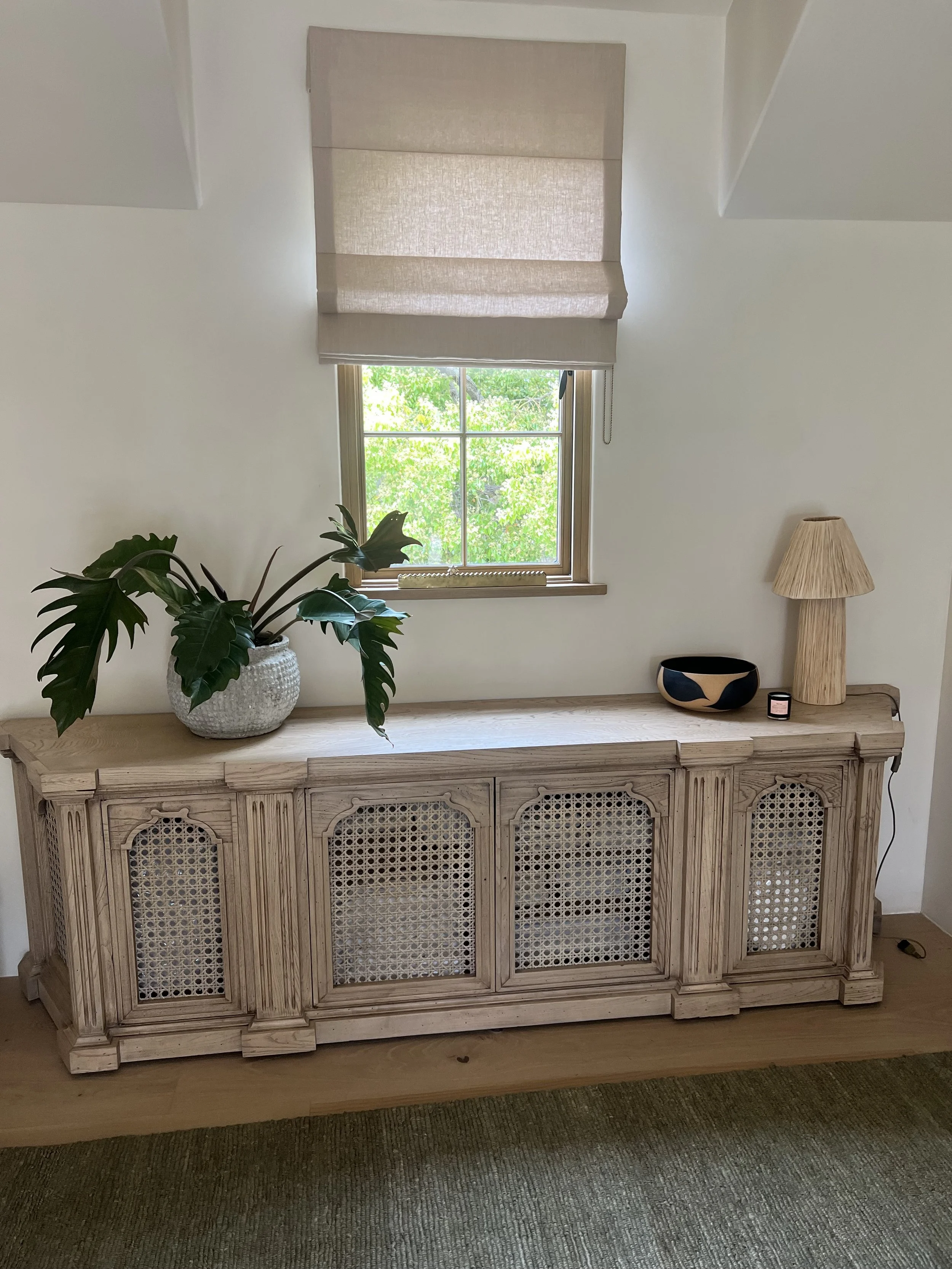 tropical plant entry.jpeg