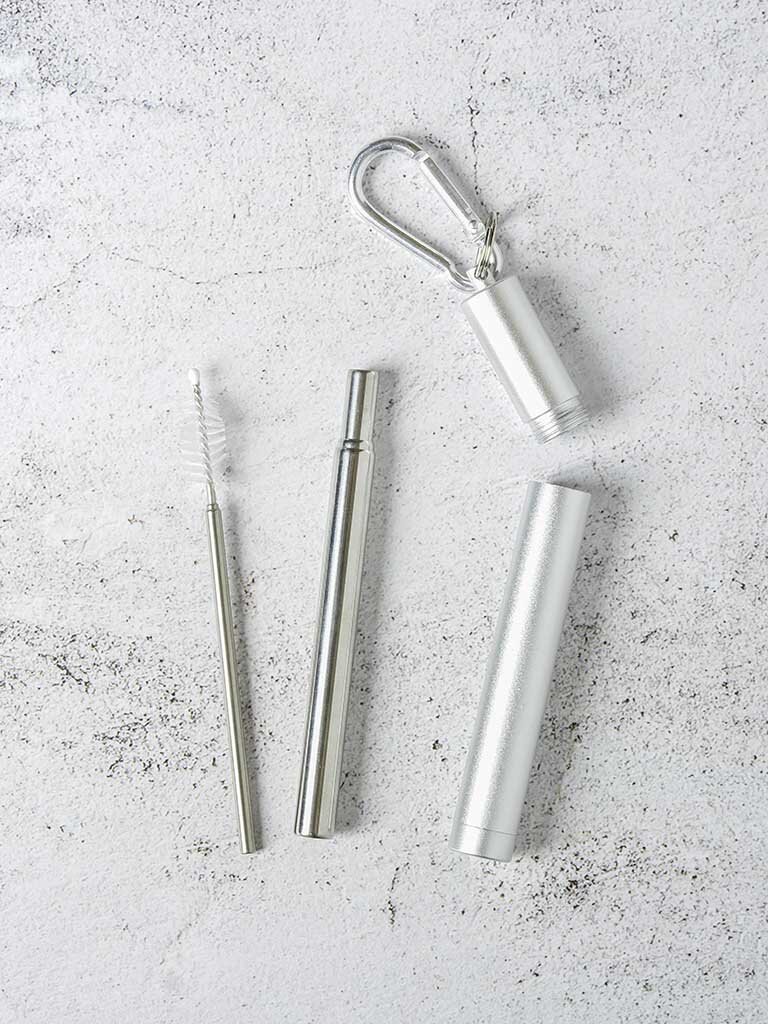 Collapsible Stainless Steel Straw Kit — The Ecoporium