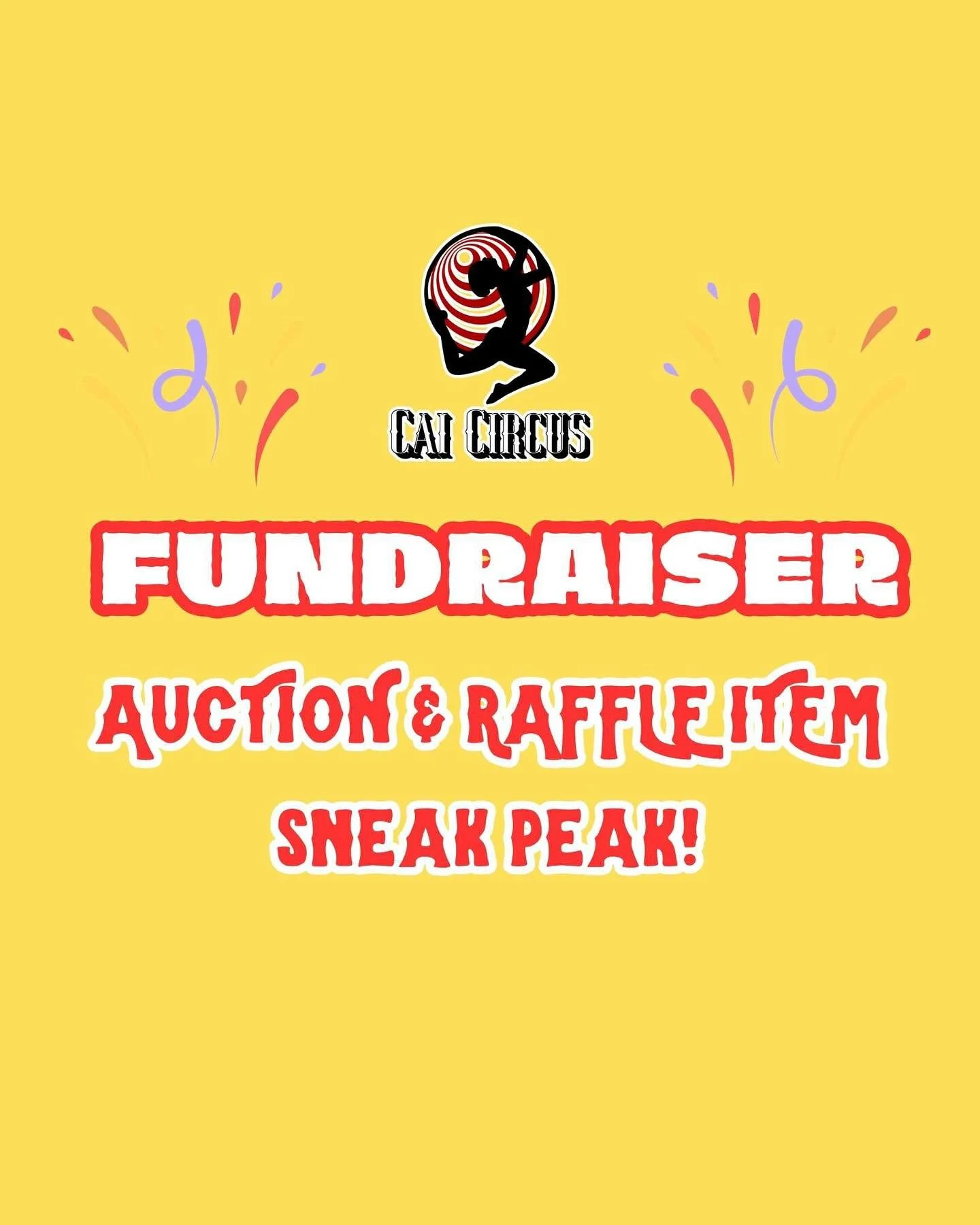 🎟️ Raffle &amp; auction sneak peek! 🎟️
At our July 27 fundraiser, you&rsquo;ll have the chance to win some truly magical experiences &mdash; including:
-
✨ A one-night stay in a deluxe king room at The Sam Houston Hotel
✨ A contortion lesson with C