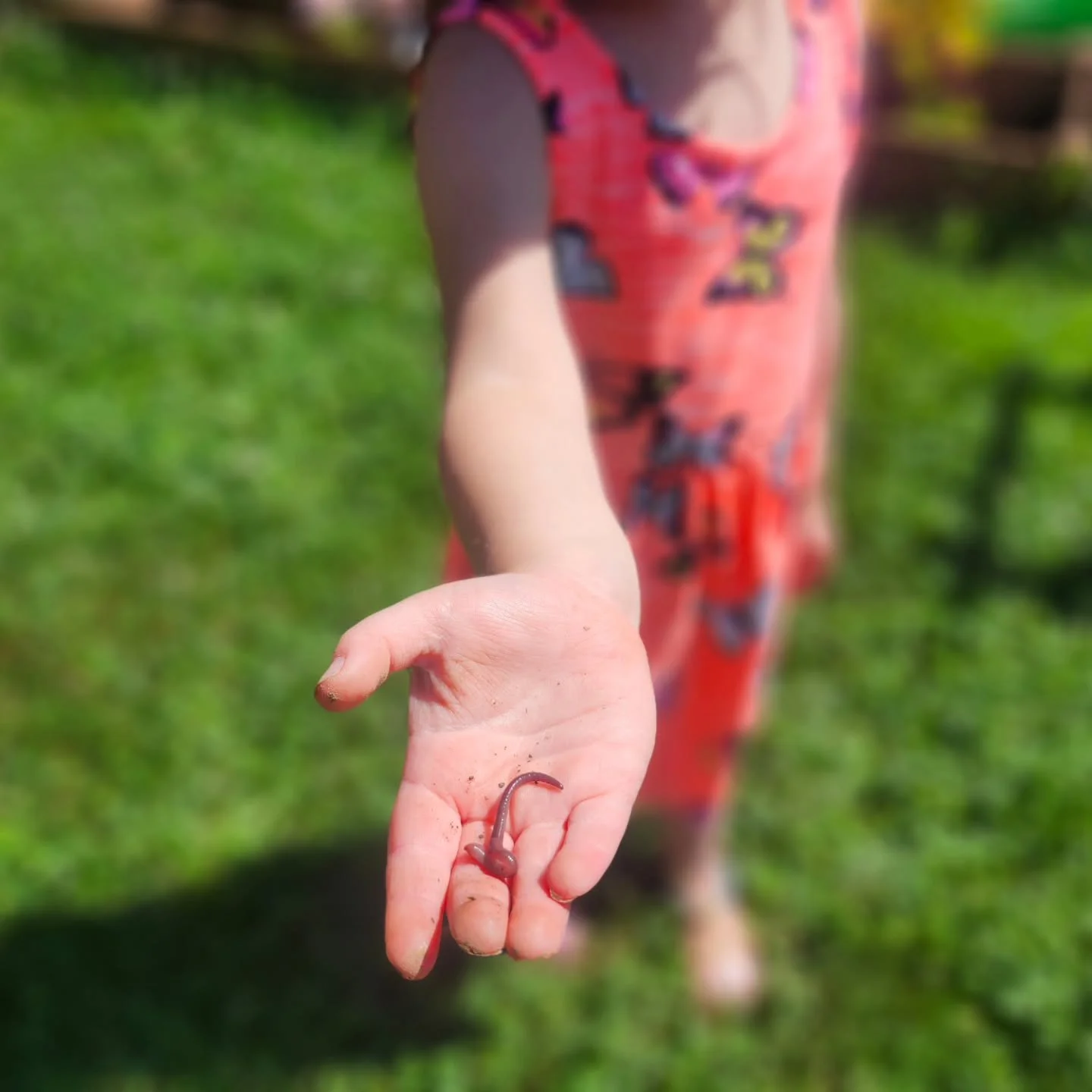 🌿Ever wonder what&rsquo;s actually happening when your preschooler is digging in the dirt, balancing on fallen logs, or inspecting a caterpillar?

​It might look like simple, unstructured fun (and it is!), but nature is actually the ultimate classro
