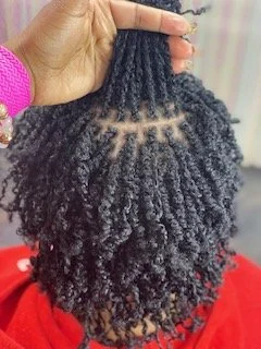 Micro starter locs